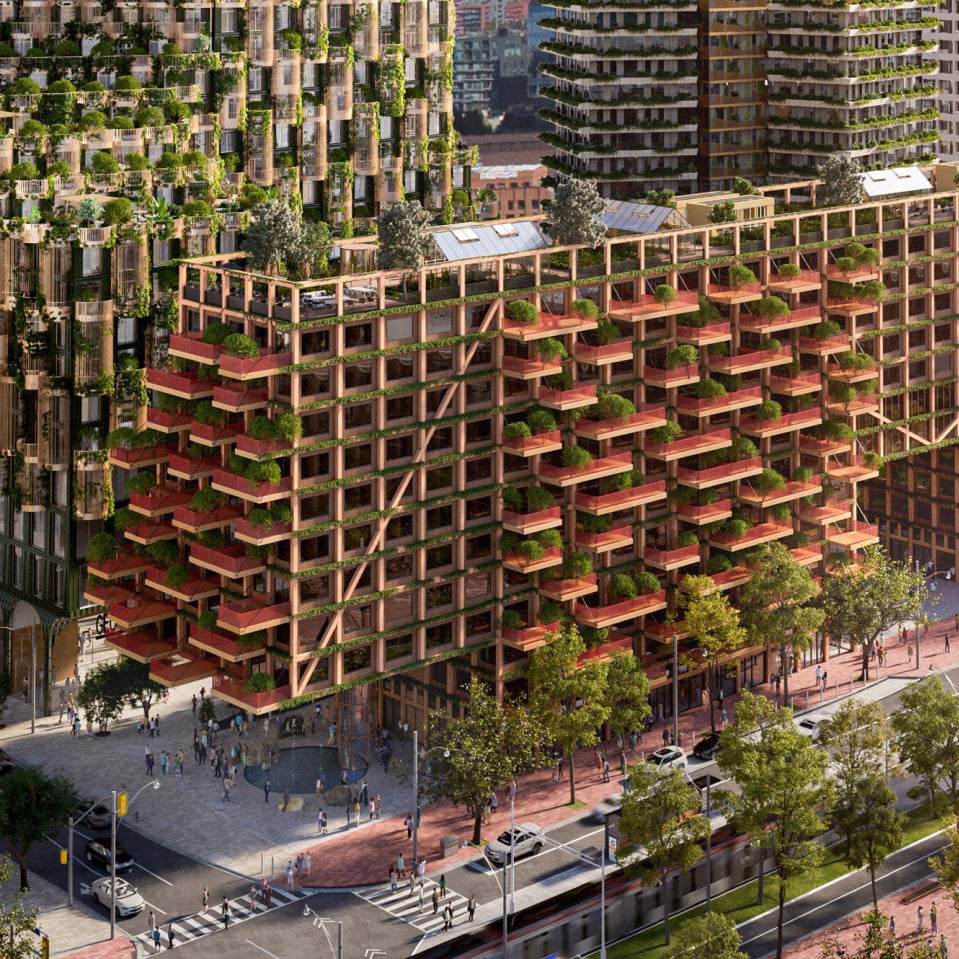 Render of Timber House by Adjaye Associates