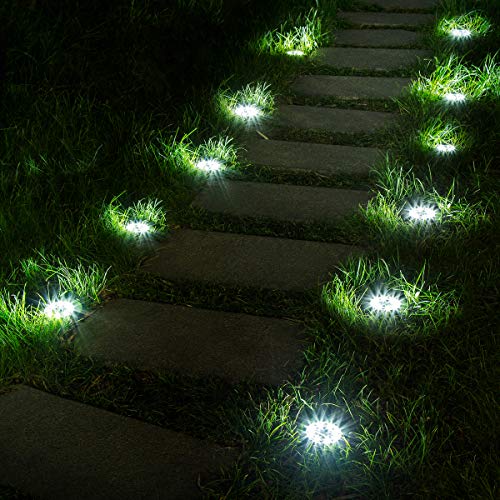 Image may contain: Path, Walkway, Light, and Flare
