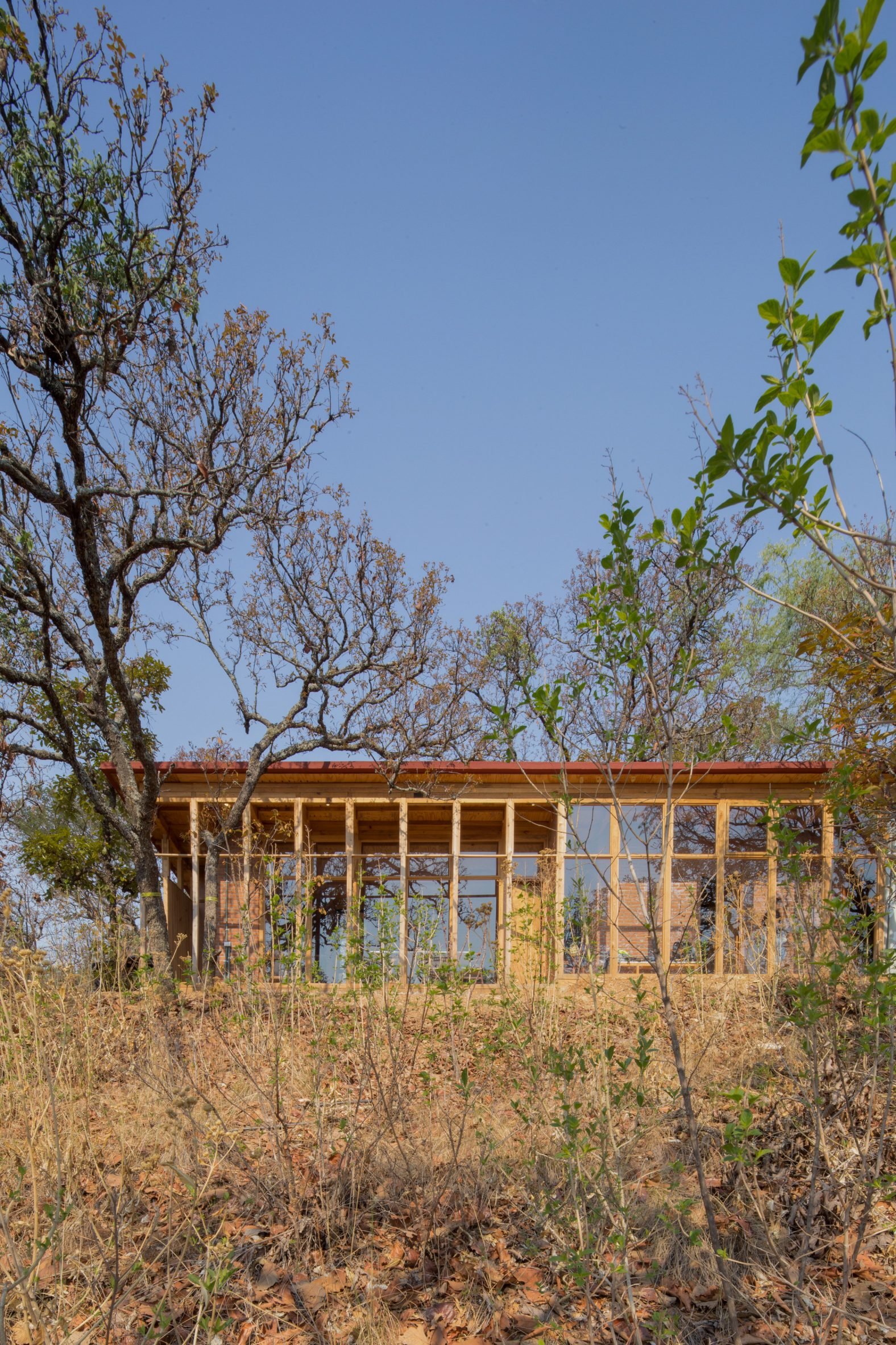 Wooden one-storey shed-like home on a sandy hill in Mexico with trees