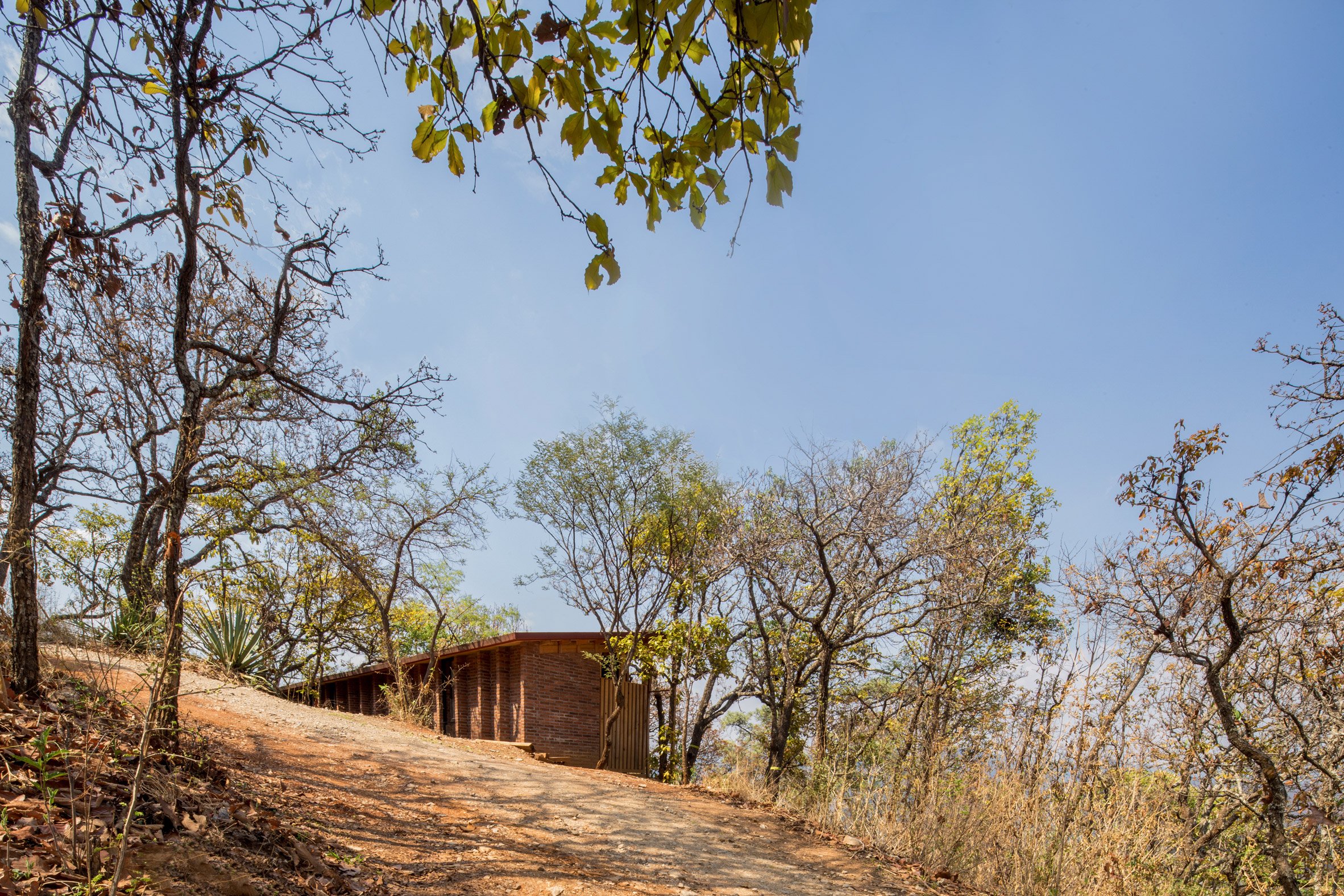 Wooden one-storey shed-like home on a sandy hill in Mexico with trees