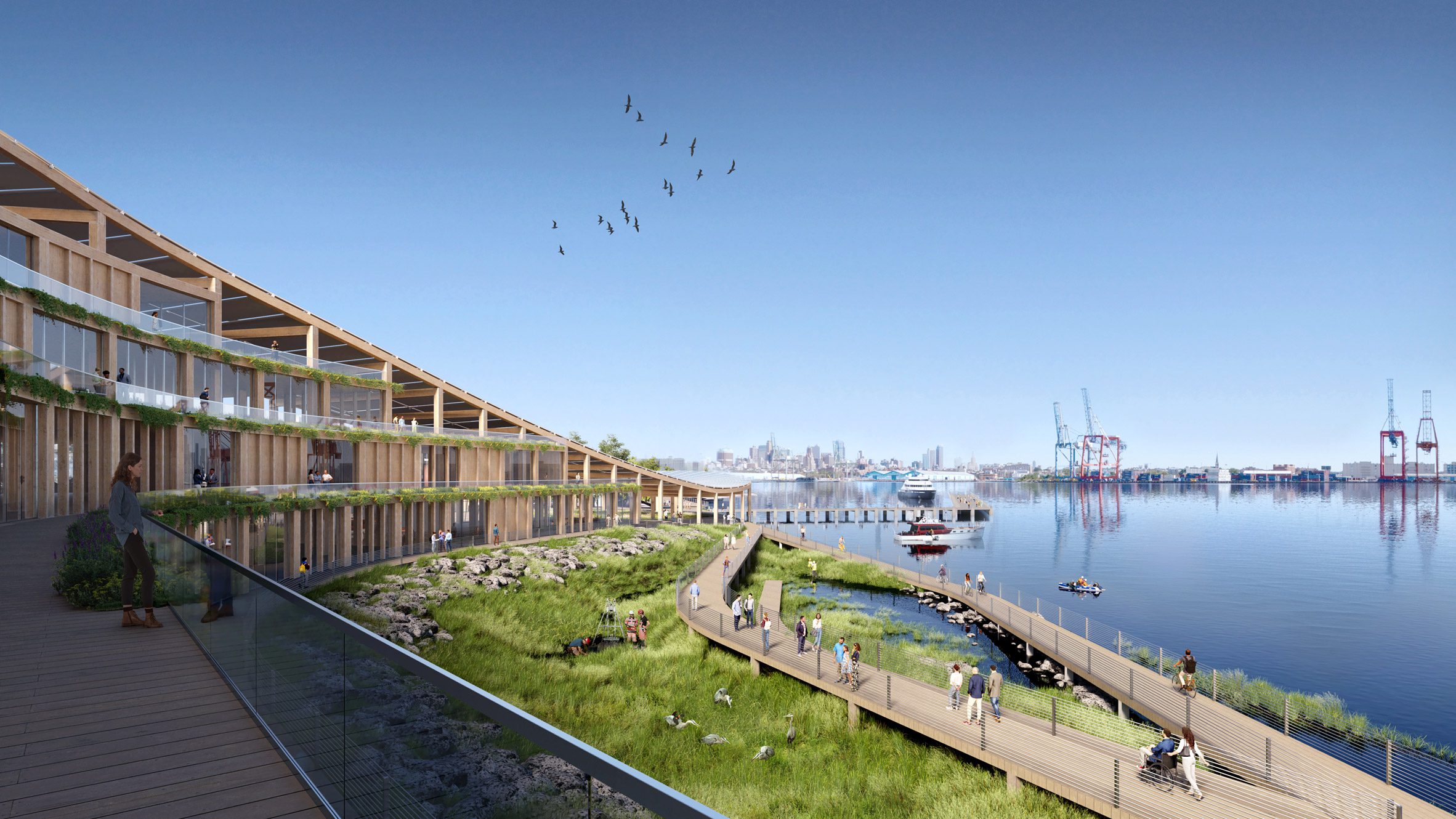 Living shoreline with the slope of the canopy in the background