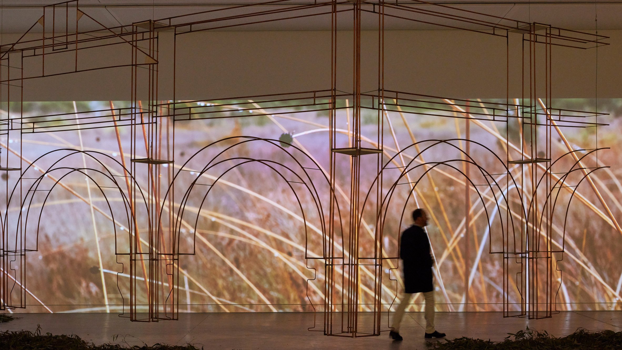 Australia pavilion at the Venice Architecture Biennale