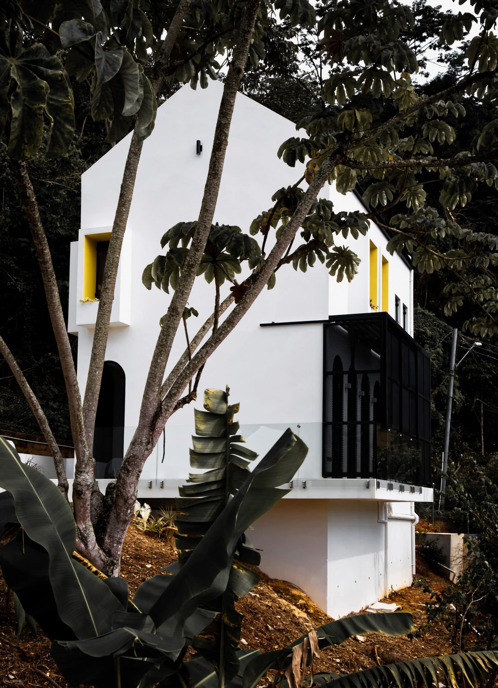 Bush House by Laura Narayansingh