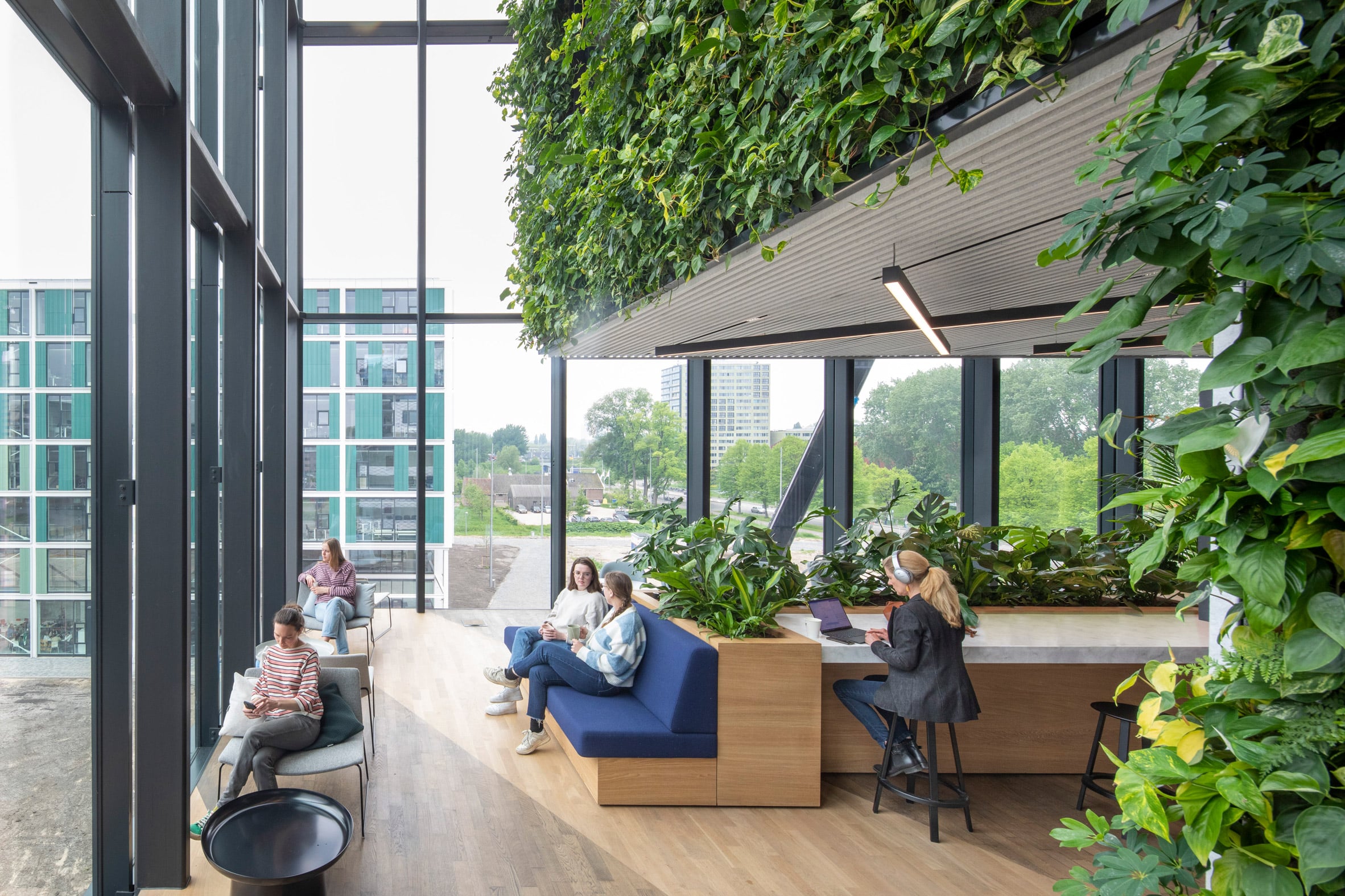Interior workspace with glazed exterior walls, wood flooring and green internal walls