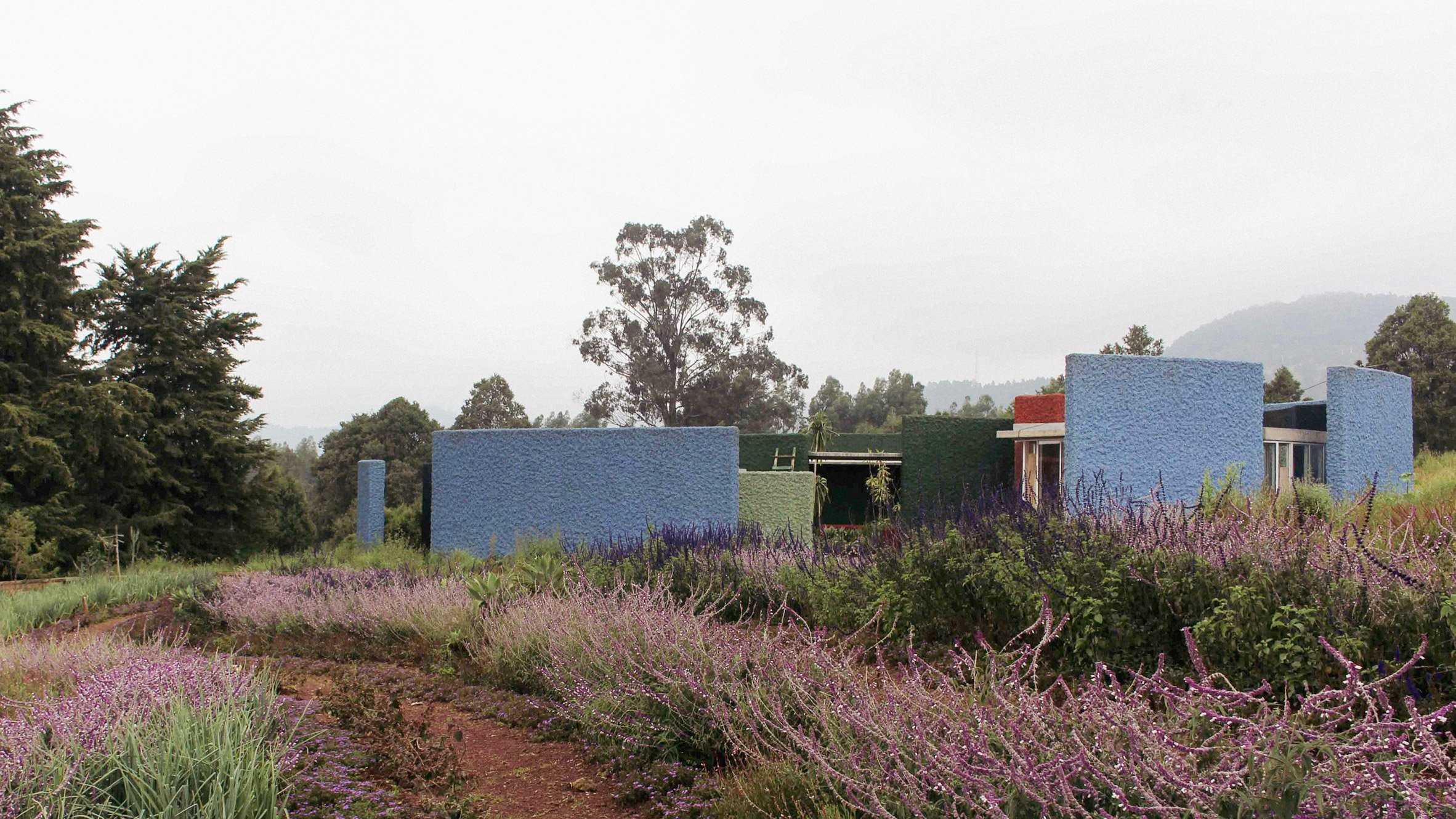 Single-storey guest house with blue exterior walls on a planted landscape at the Meles Zenawi Memorial Park by Studio Other Spaces