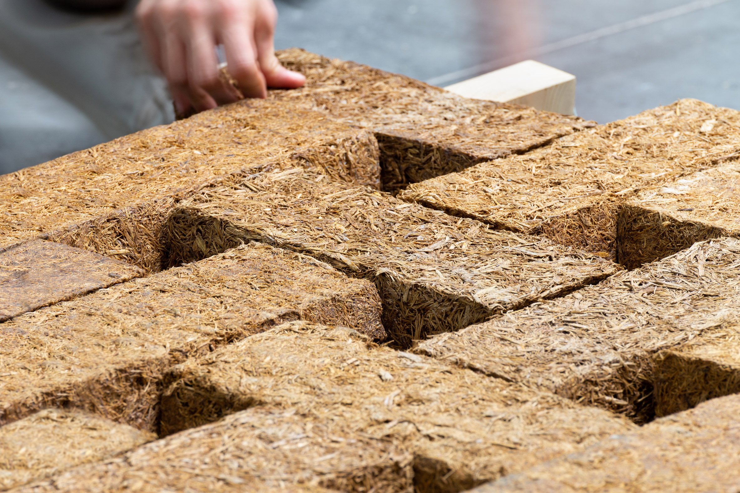 Sugarcrete sugarcane waste construction material blocks in an interlocking grid by Grimshaw and the University of East London