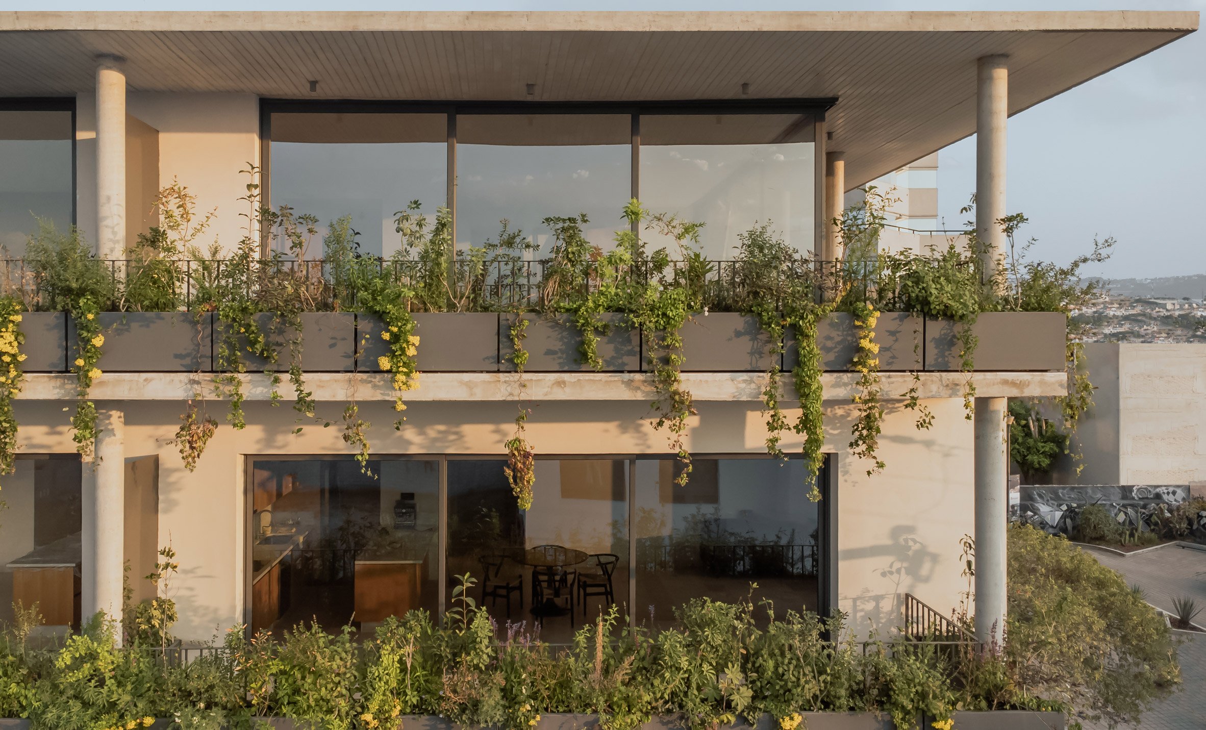 Plant-filled balconies at an apartment building in Mexico