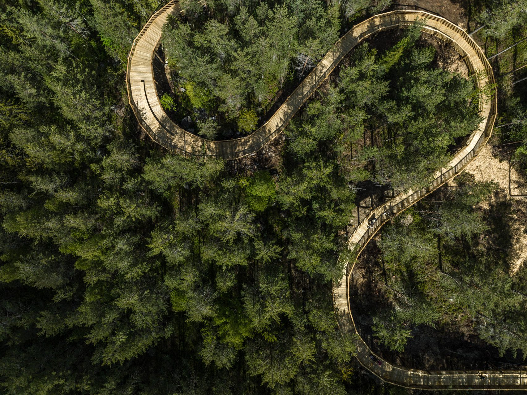 Aerial view of Hamaren Activity Park treetop walkway by EFFEKT
