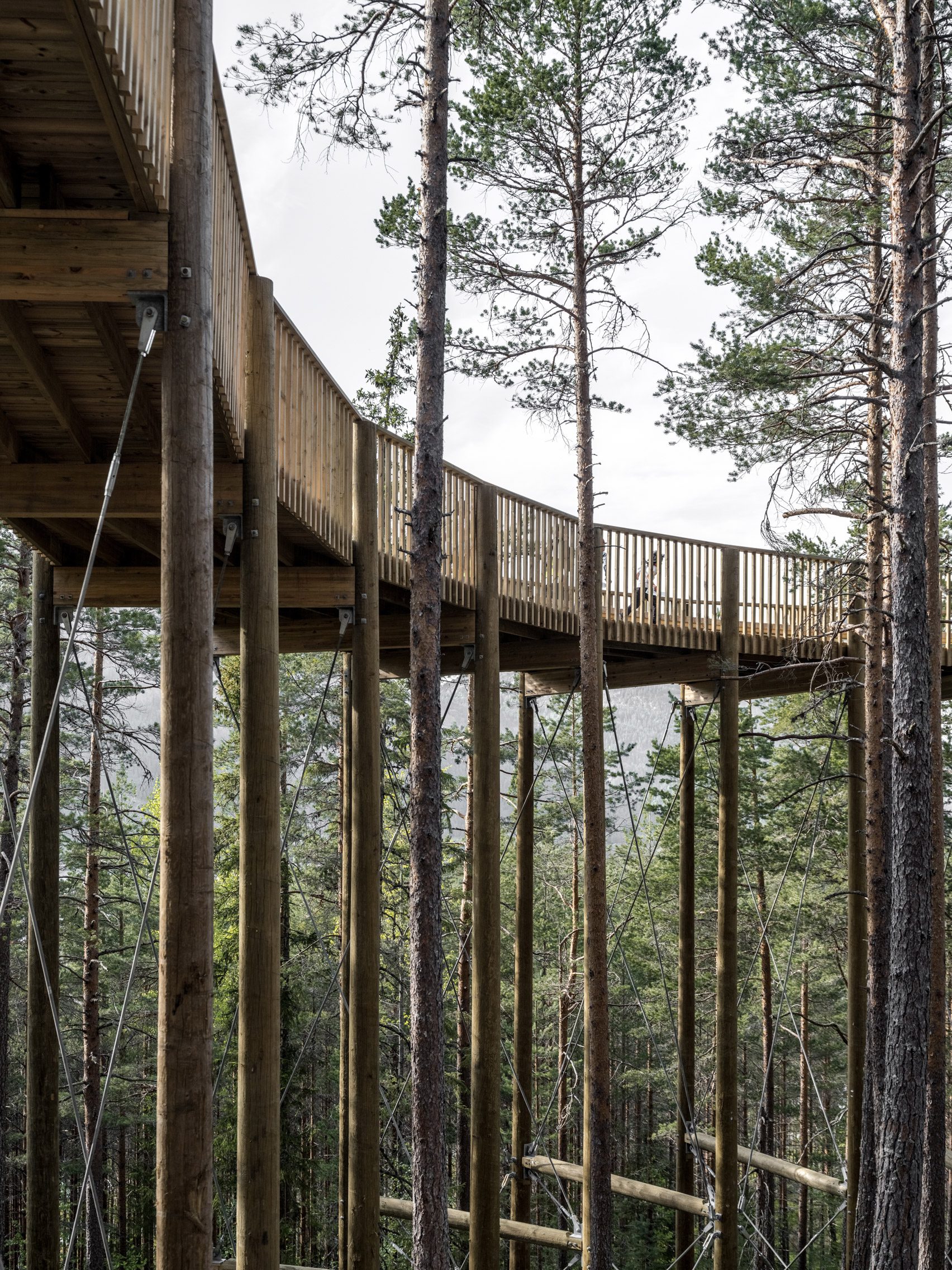 Hamaren Activity Park treetop walkway