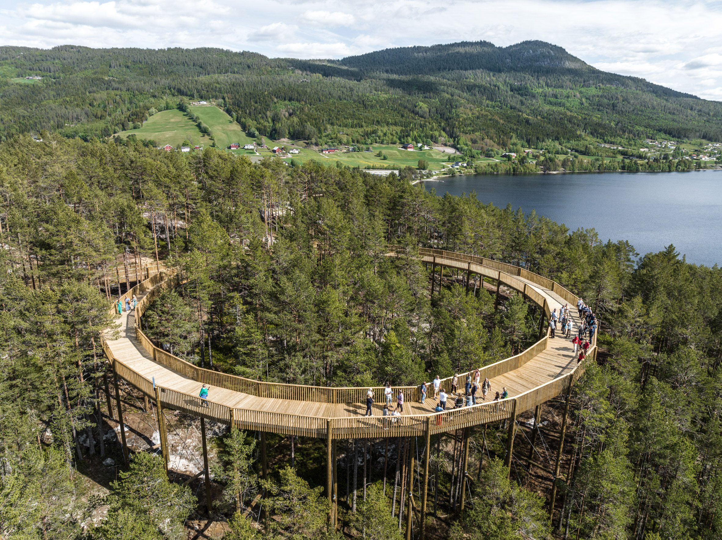 Aerial view of Hamaren Activity Park treetop walkway by EFFEKT