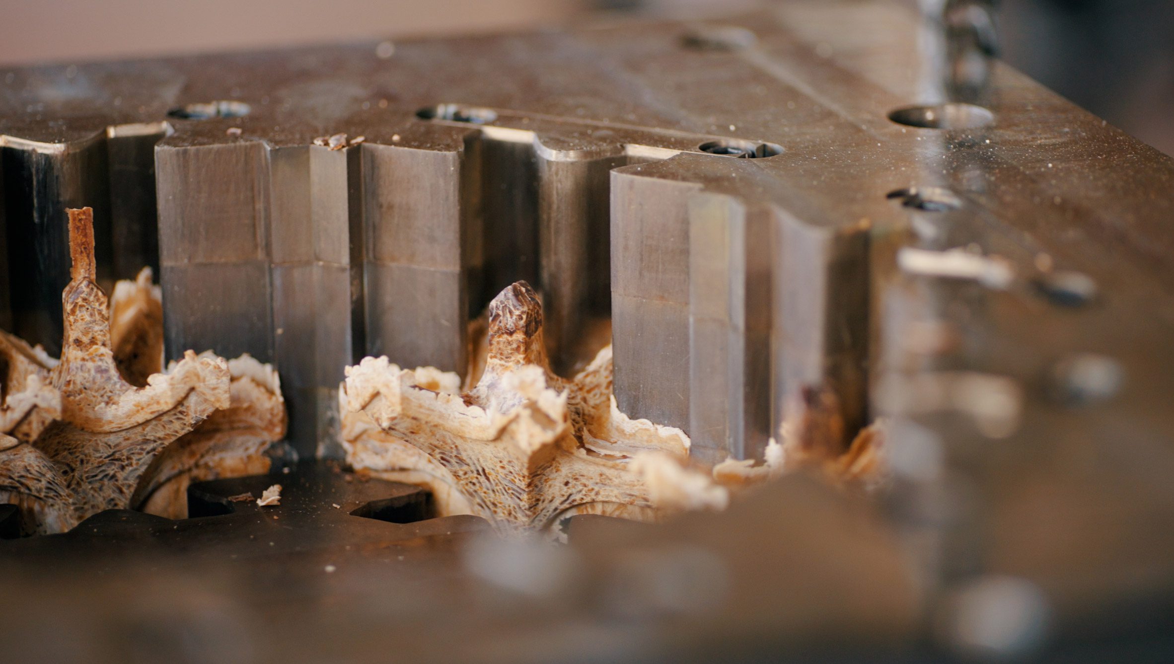 Pasta being moulded into architectural components