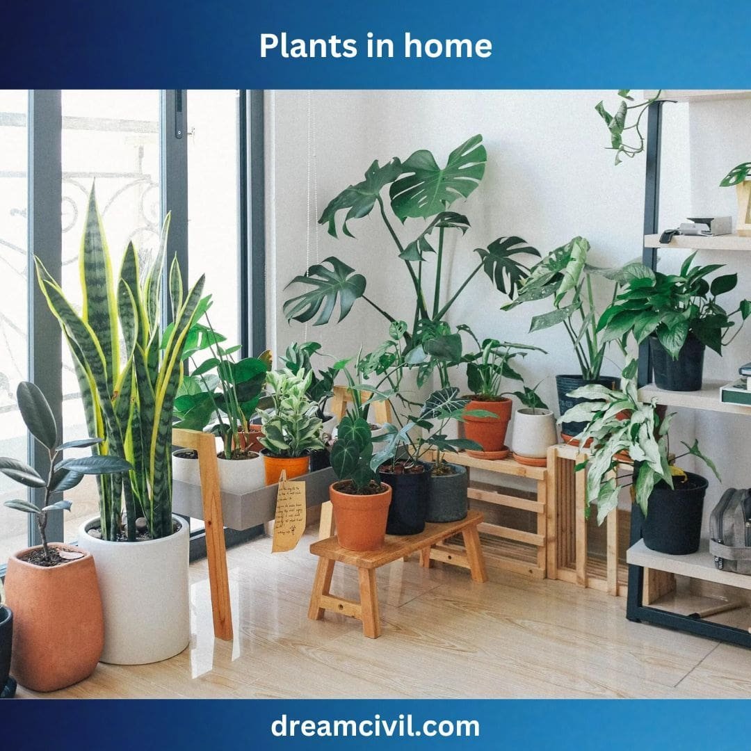 Eco-Friendly Home Decor