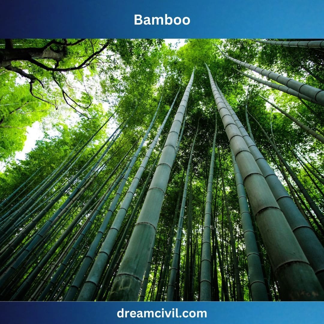 Sustainable Building Materials