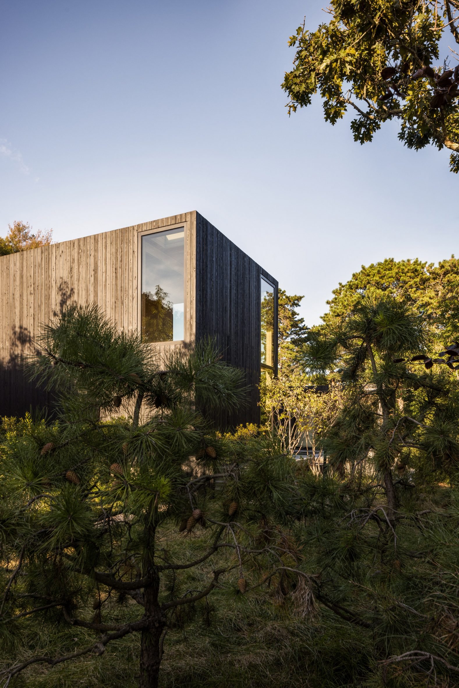 Starling Amagansett
