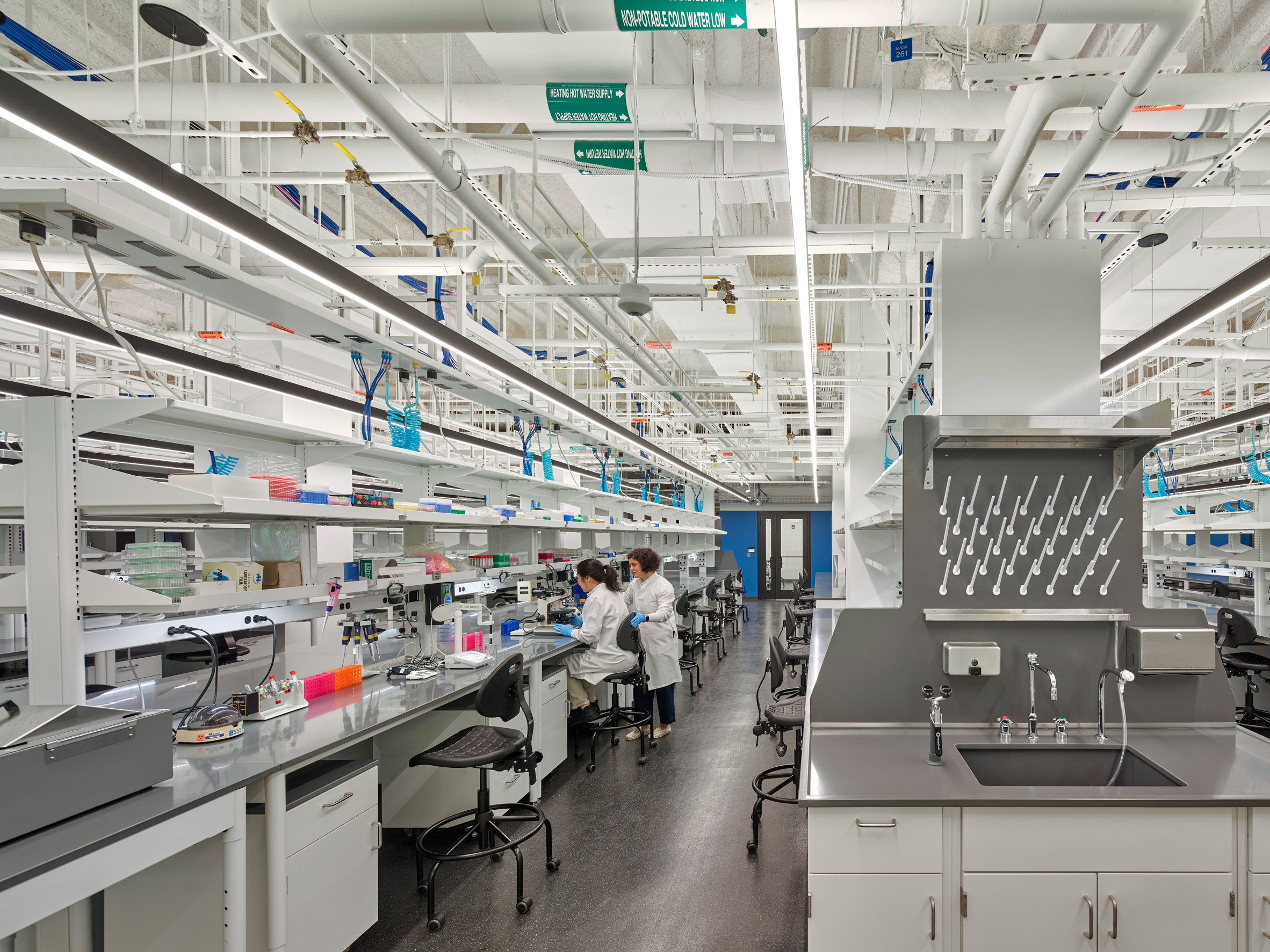 White and silver laboratory