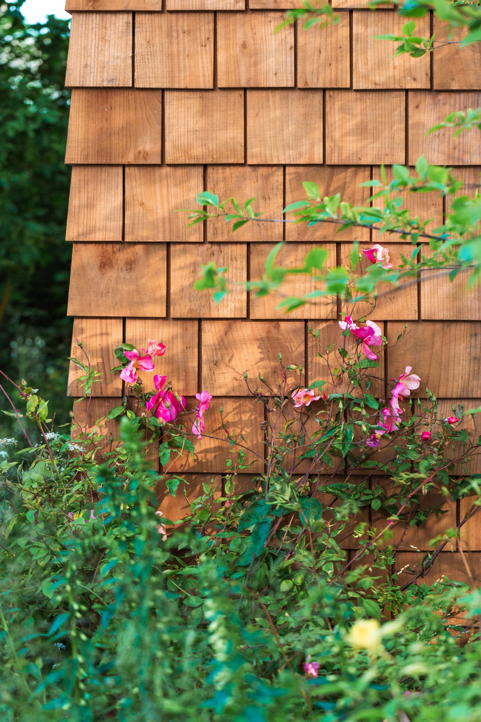 Wooden shingles