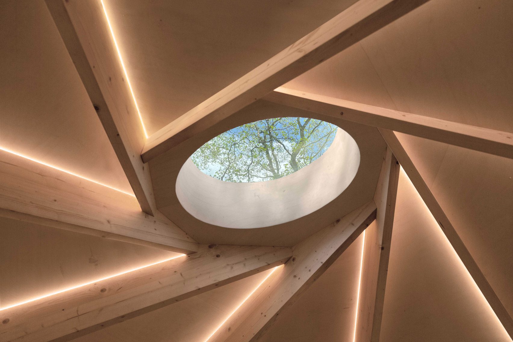Reciprocal roof inside Horatio's Garden pod
