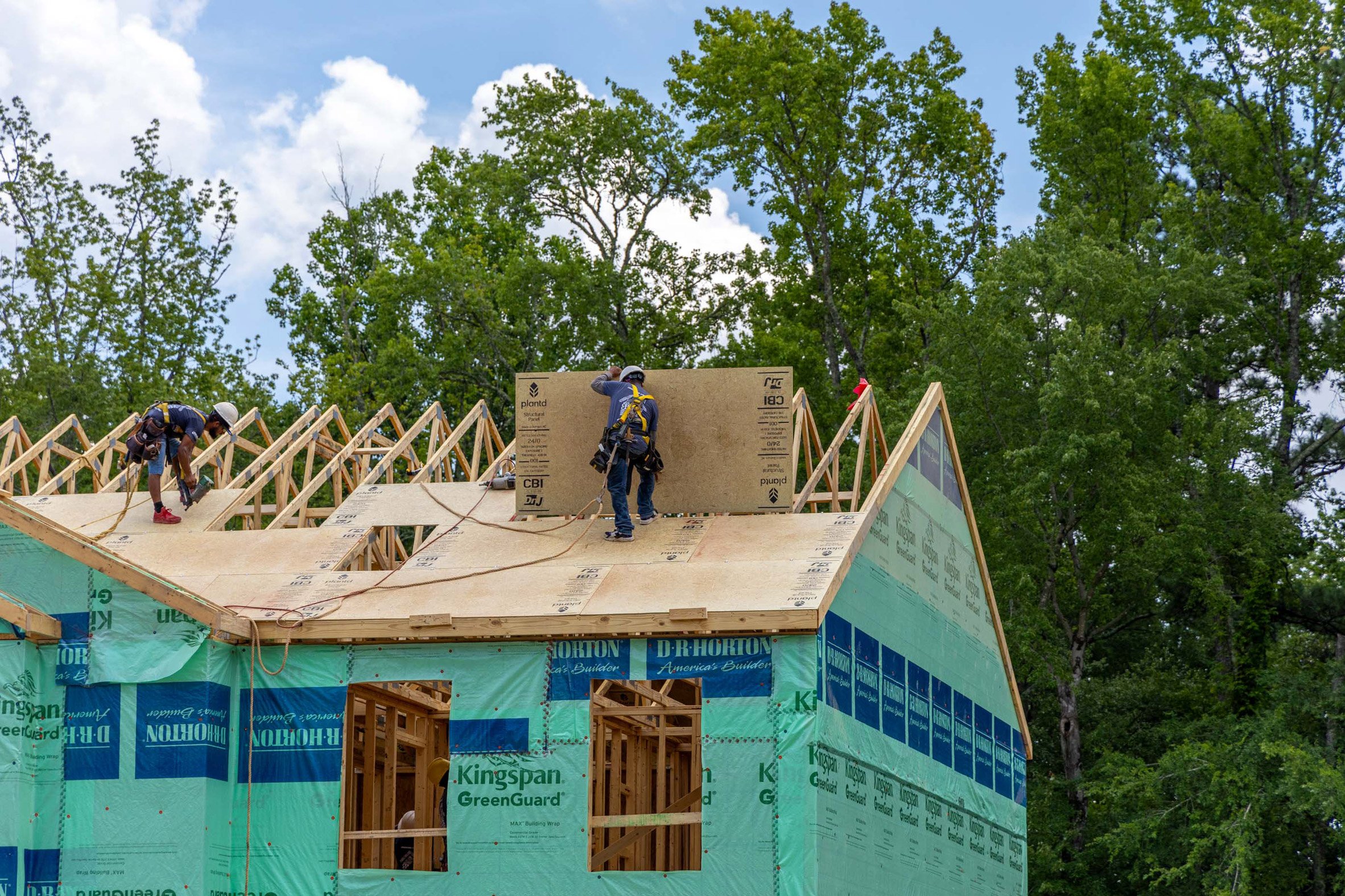 Plantd residential home building process
