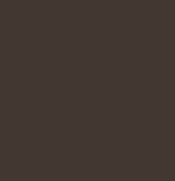 Bittersweet Chocolate by Benjamin Moore