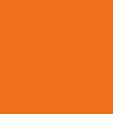 Electric Orange by Benjamin Moore