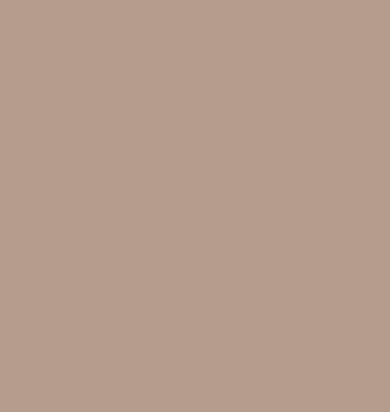 Whipped Mocha by Benjamin Moore