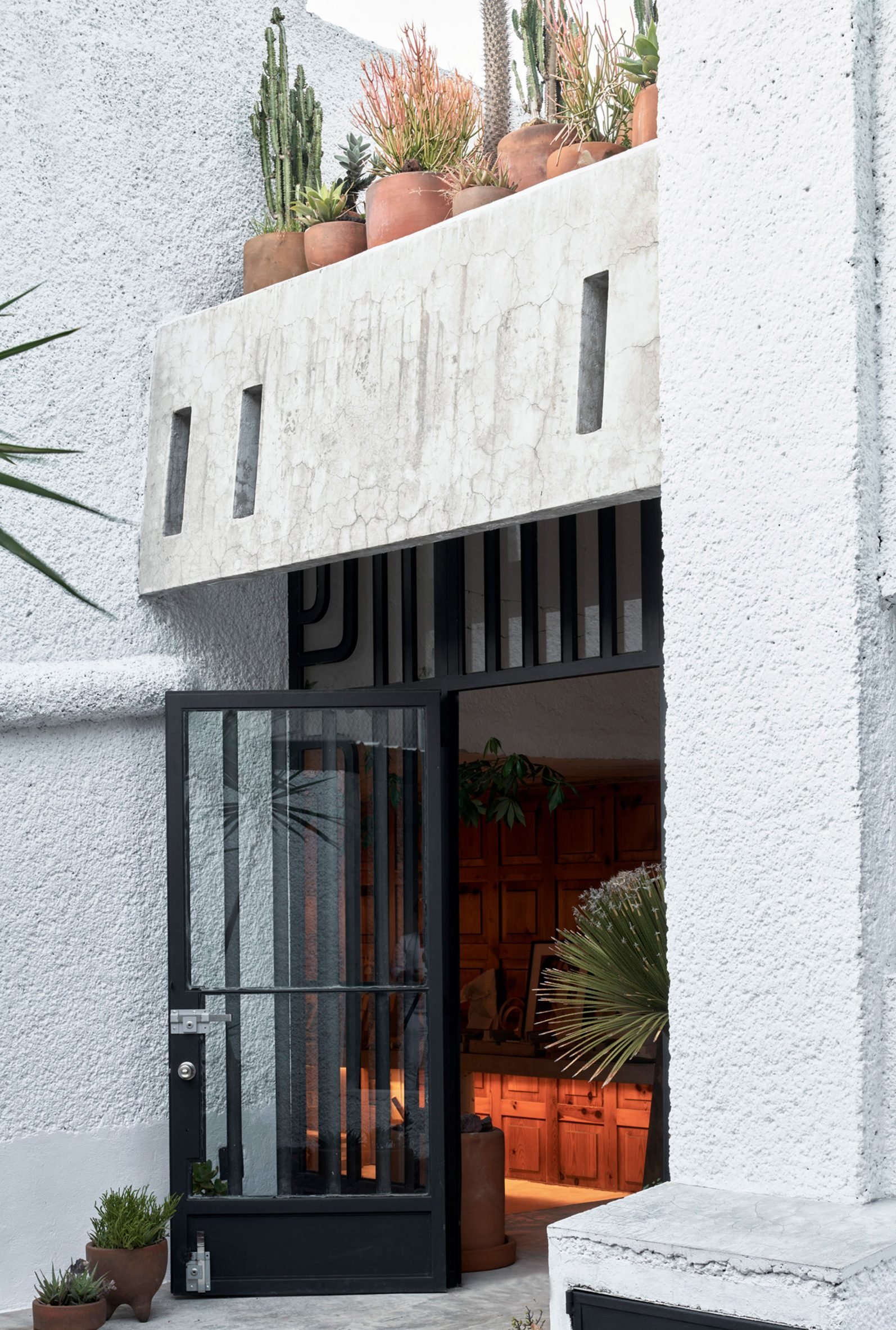 The entrance to a house with a gate door
