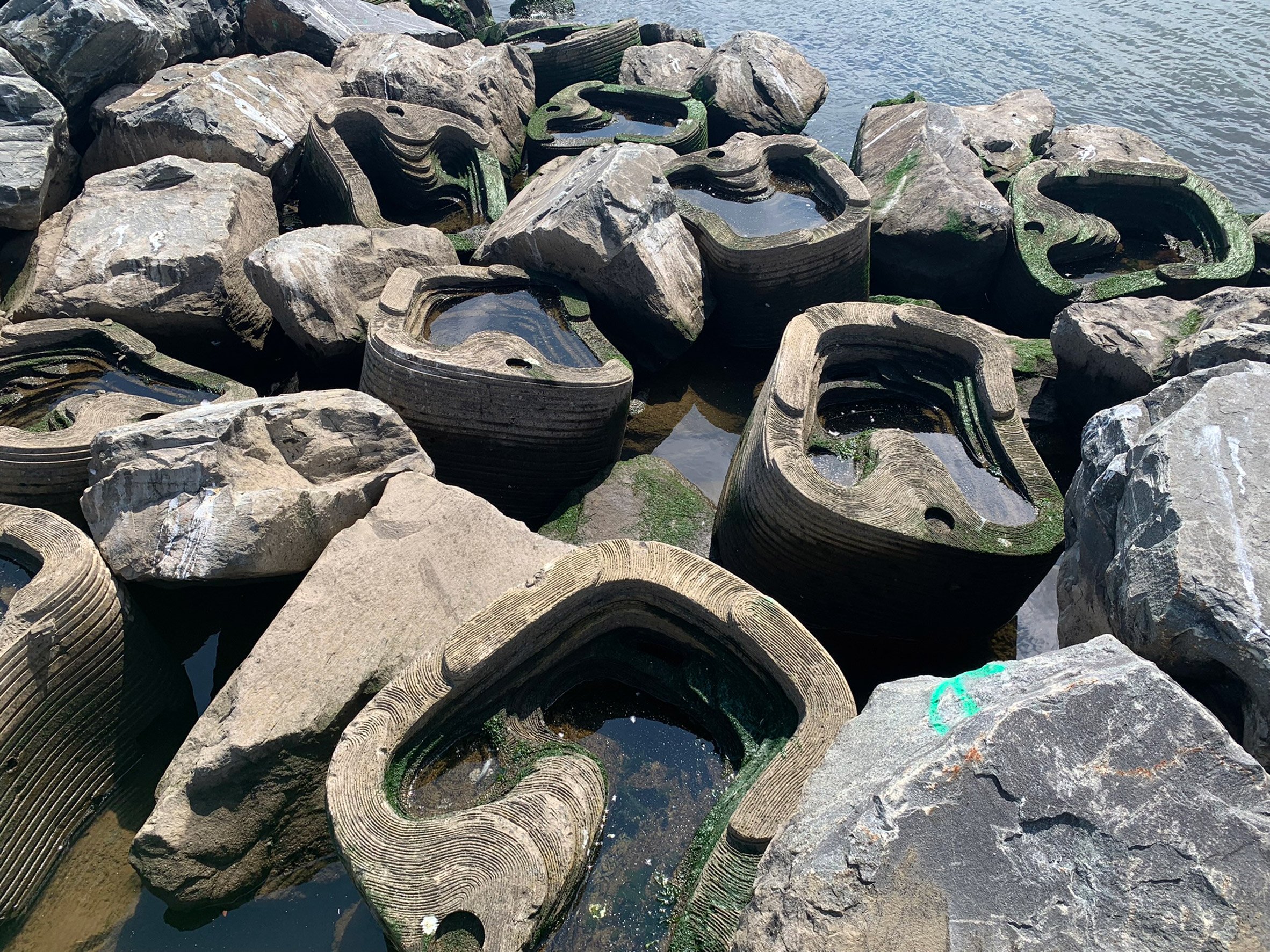 Coastal defence system that doubles as marine habitat