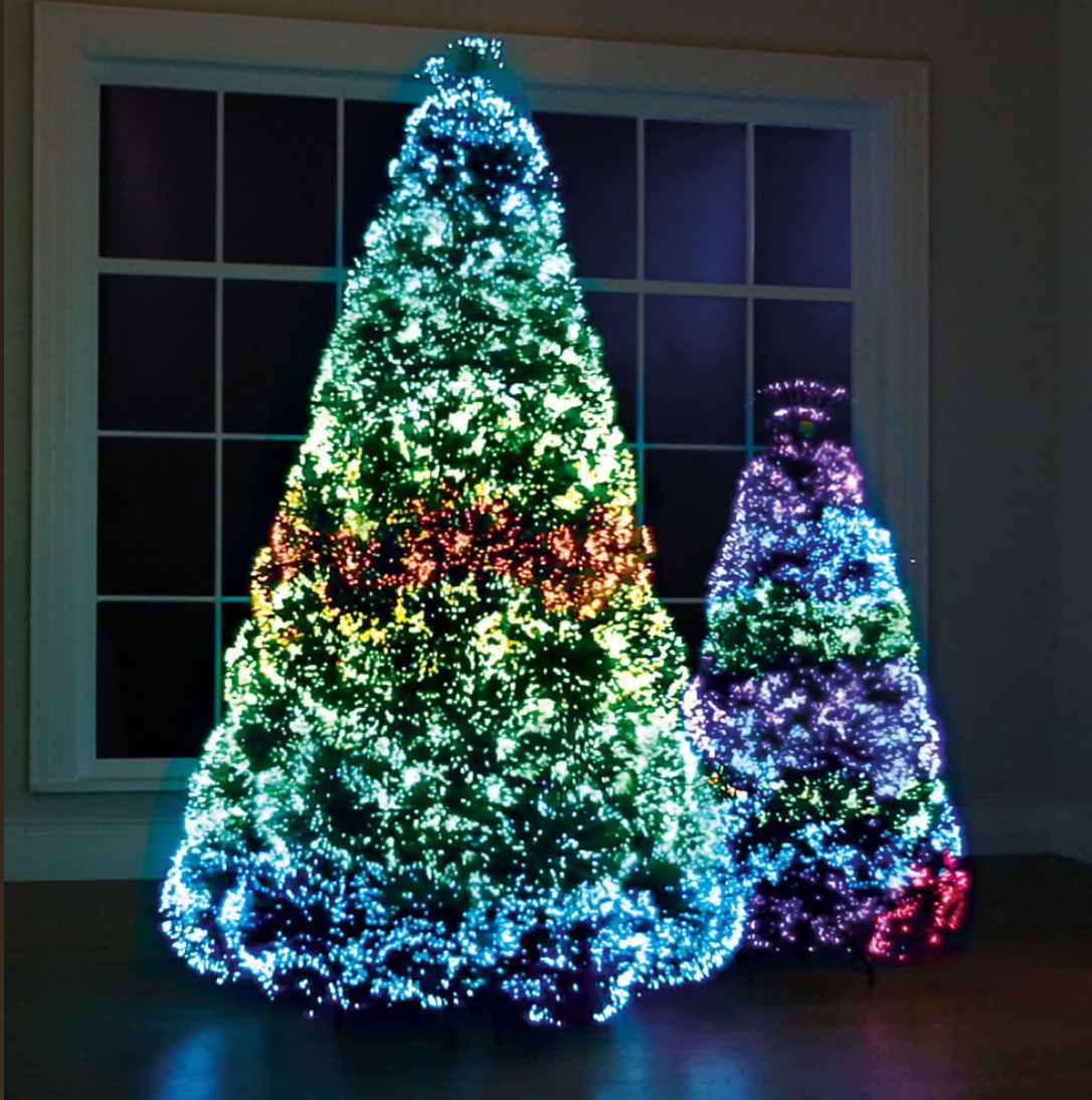 Image may contain Plant Ornament Tree and Christmas Tree