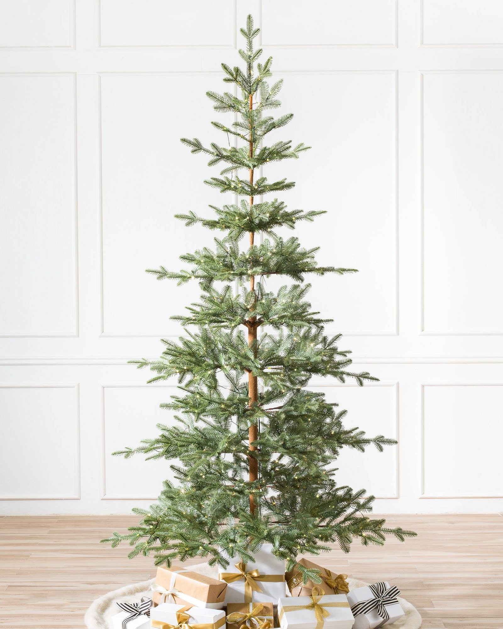spare evergreen tree where you can see trunk