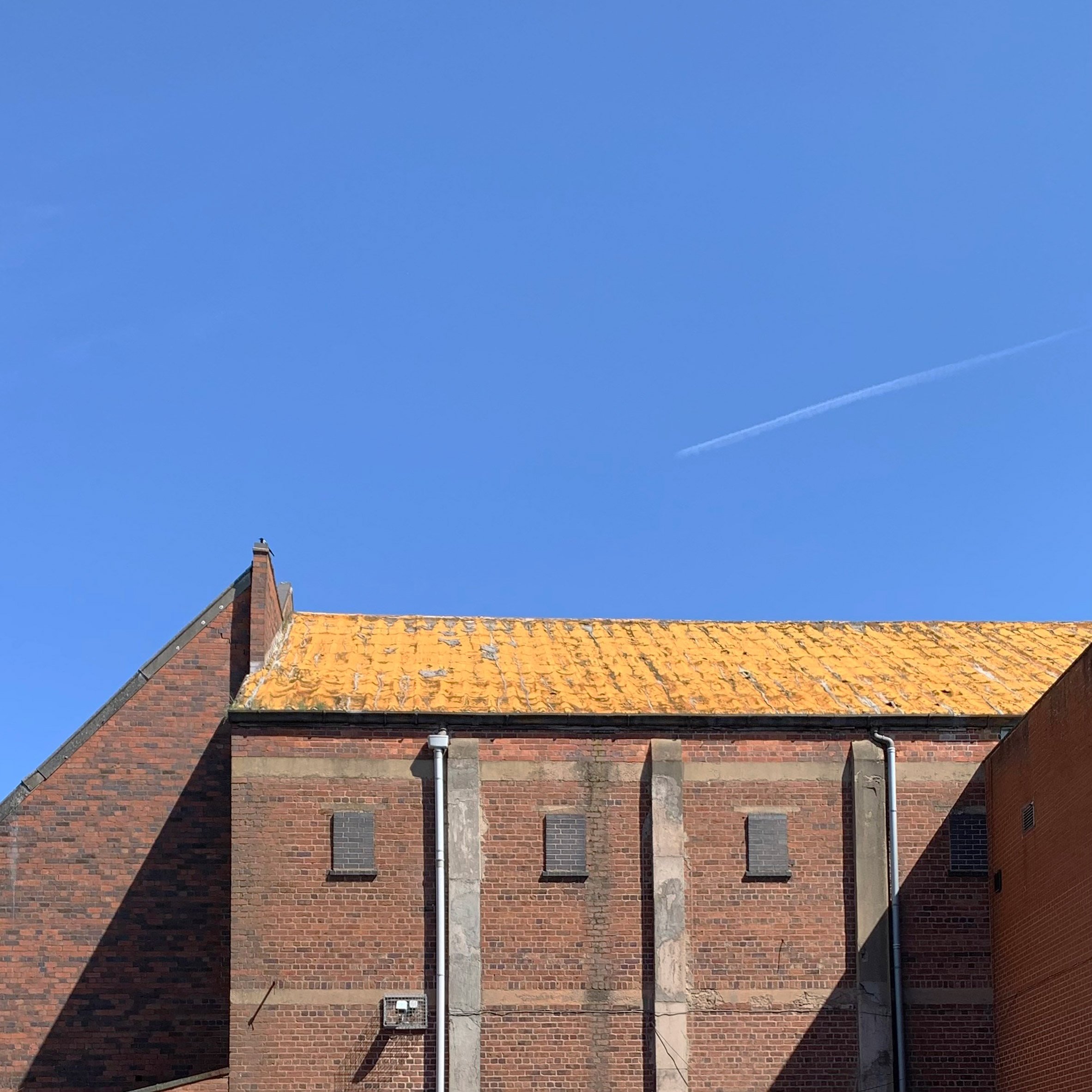 Lichen covered rooftop Stourbridge