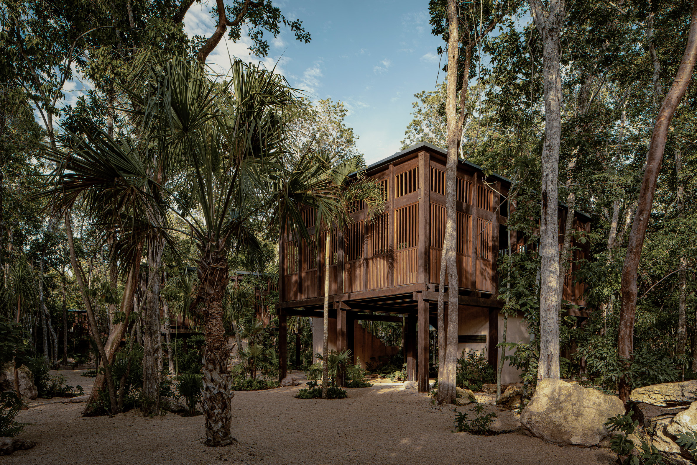 a wooden treehouse hotel in Mexico