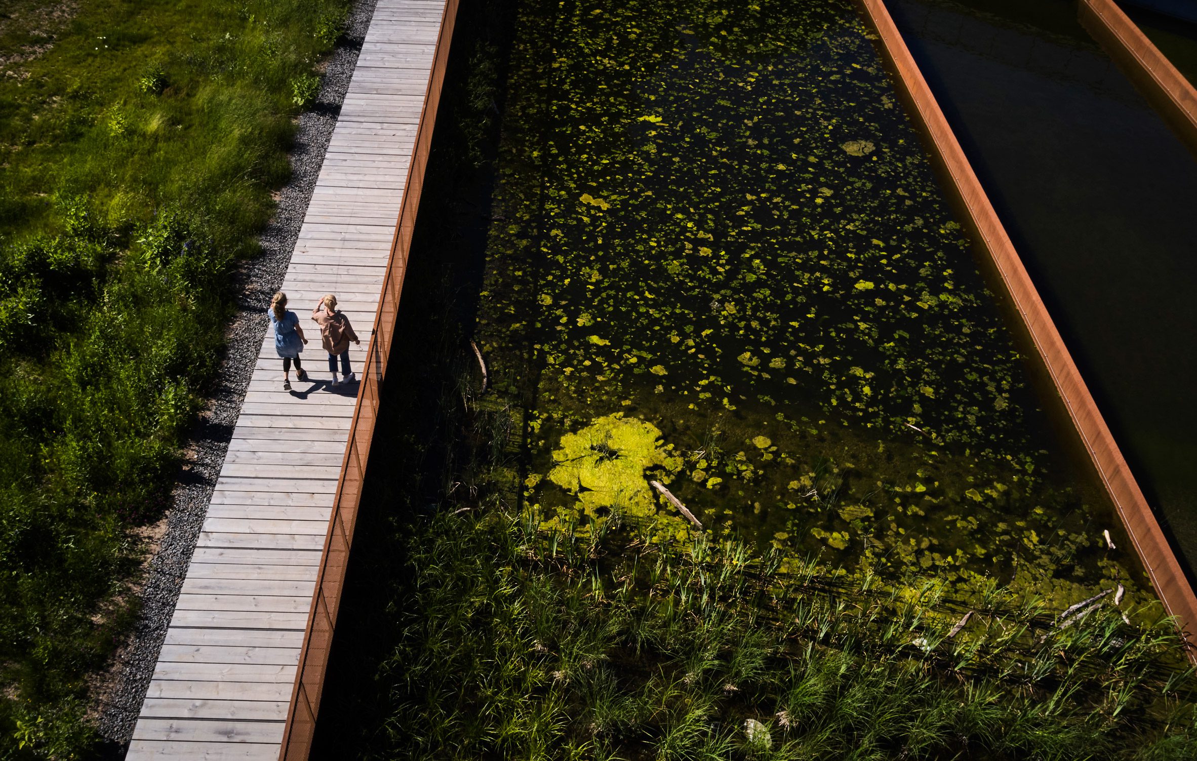 Stormwater pond by White Arkitekter