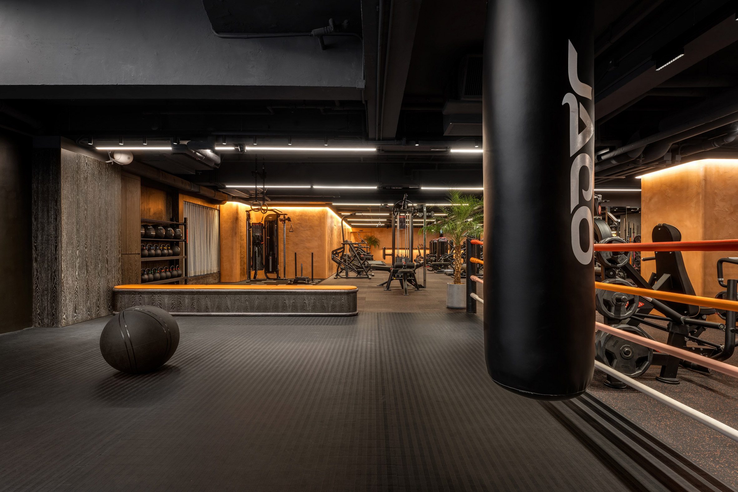 Overview of workout areas inside Gym Town 
