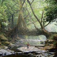 Jingkieng Dieng Jri Living Root Bridges are a system of living ladders and walkways