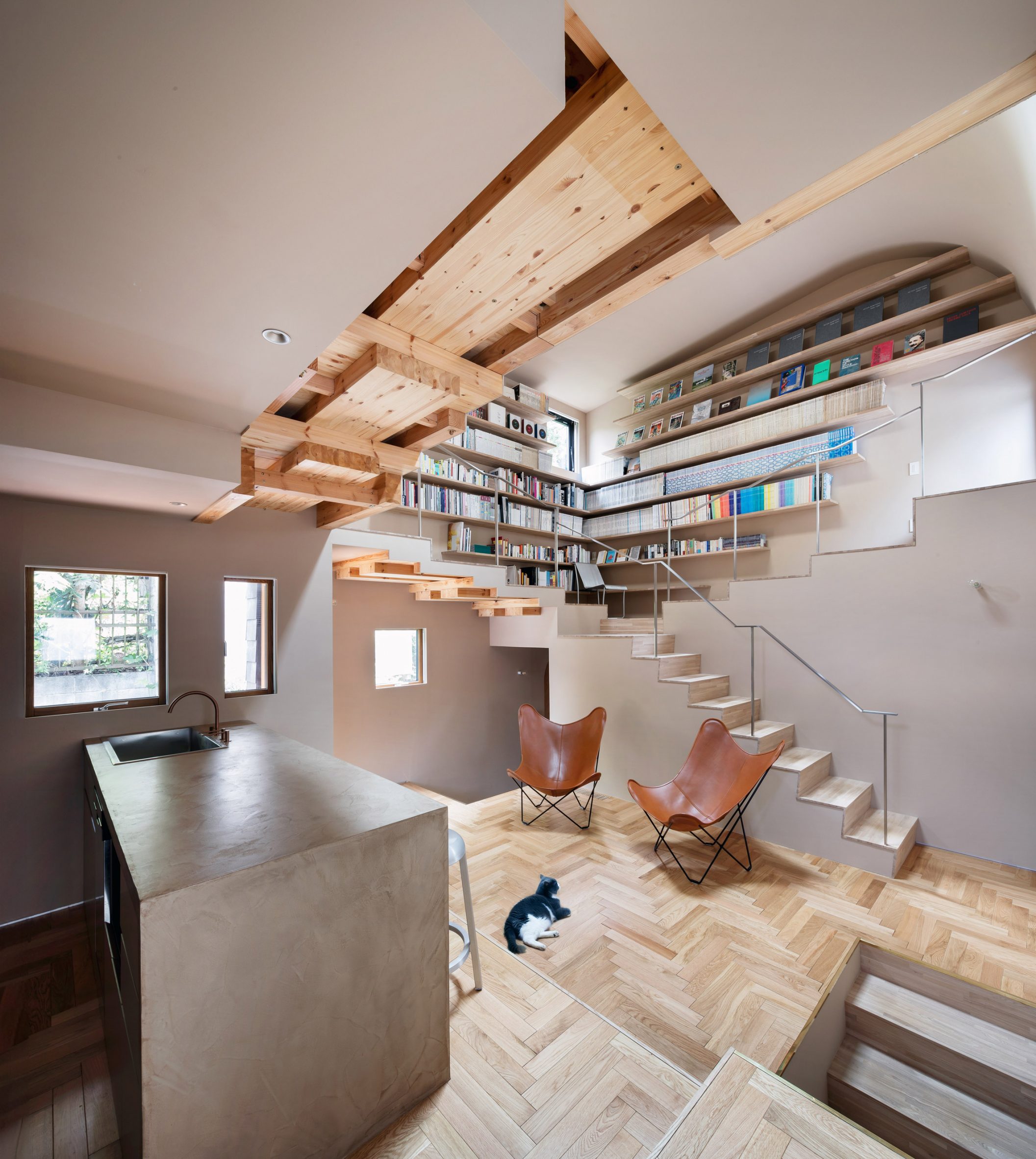 A Cat Tree House by Tan Yamanouchi