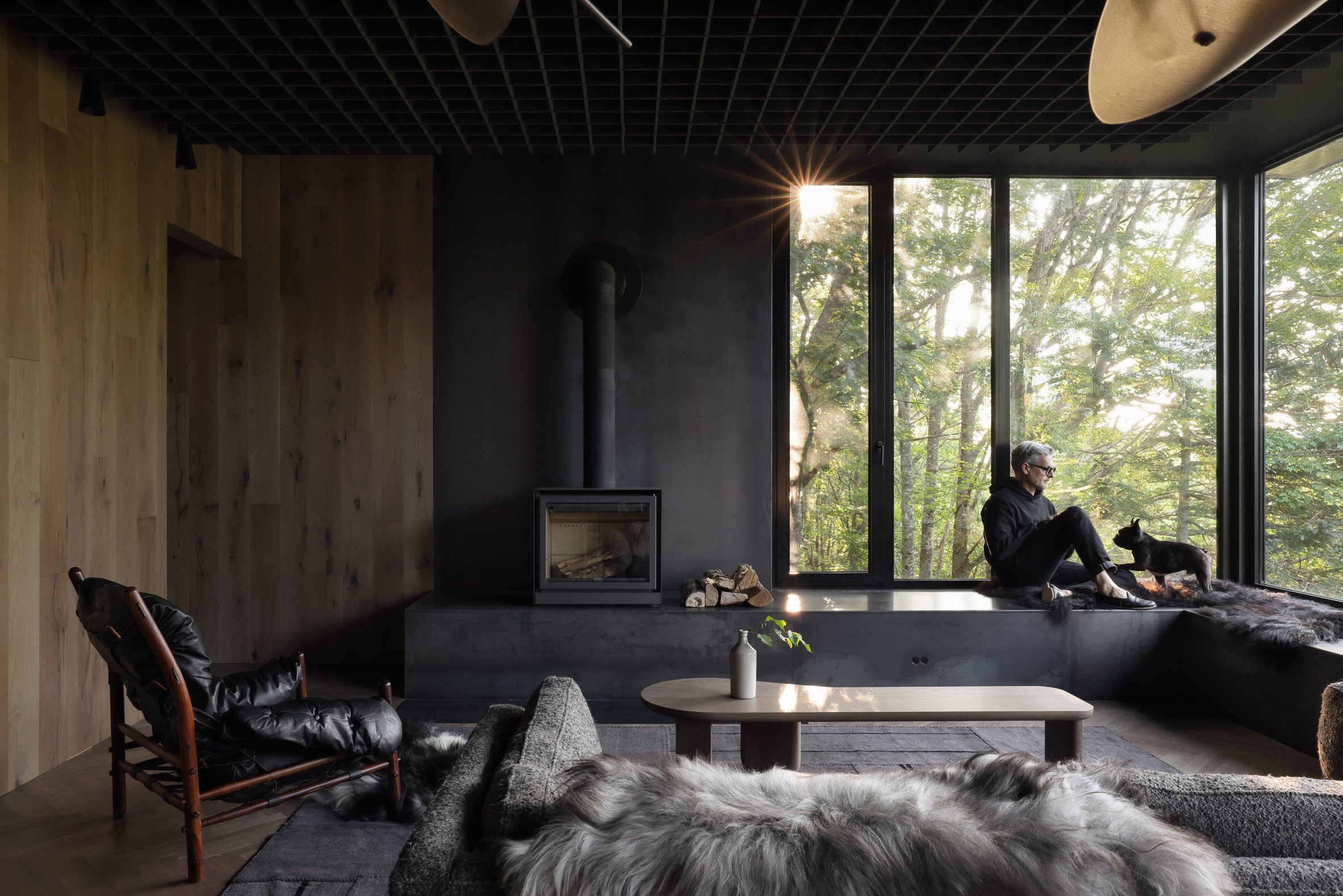 Cabin interior with man and dog