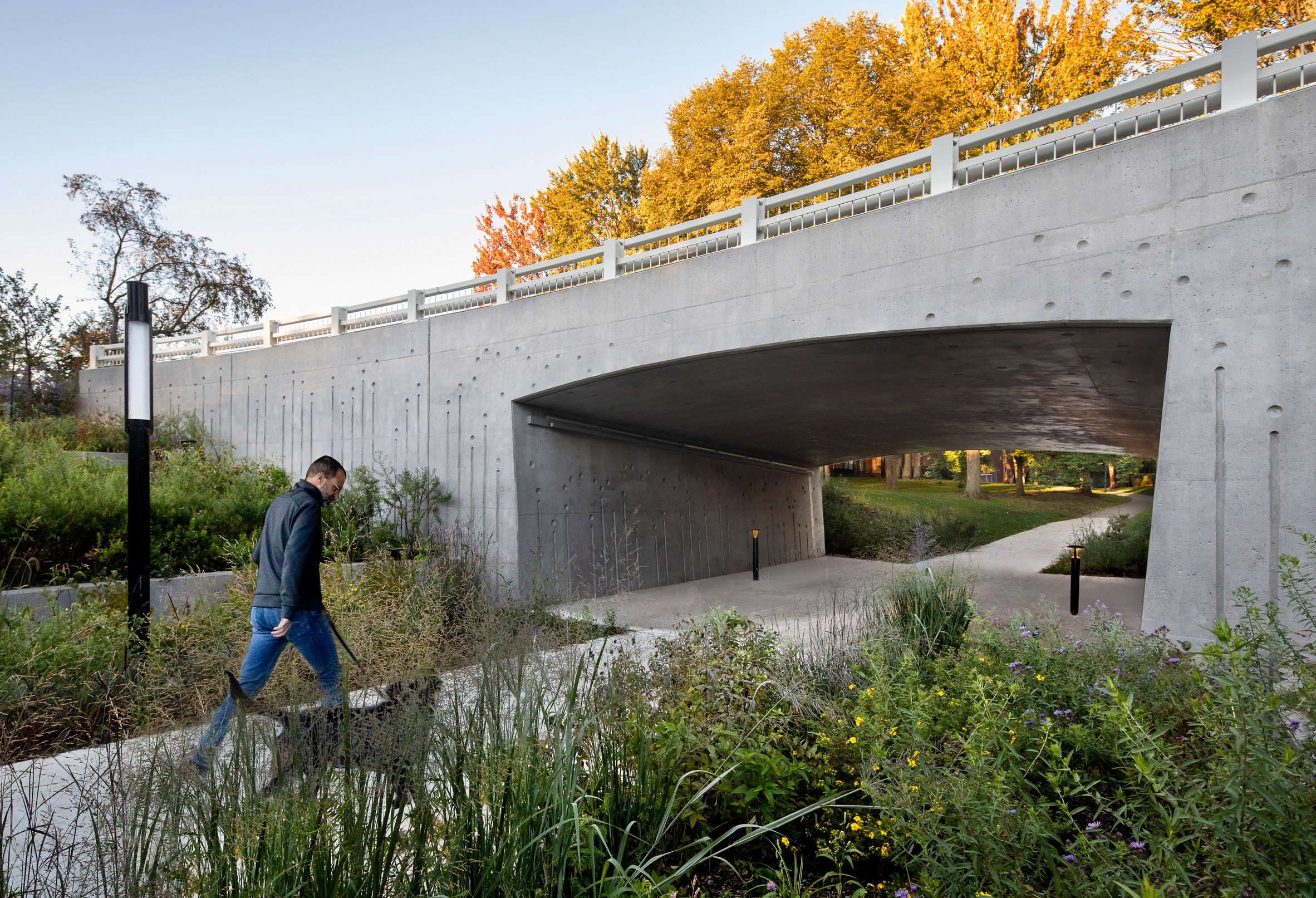Man walking dog under bridge in Montreal