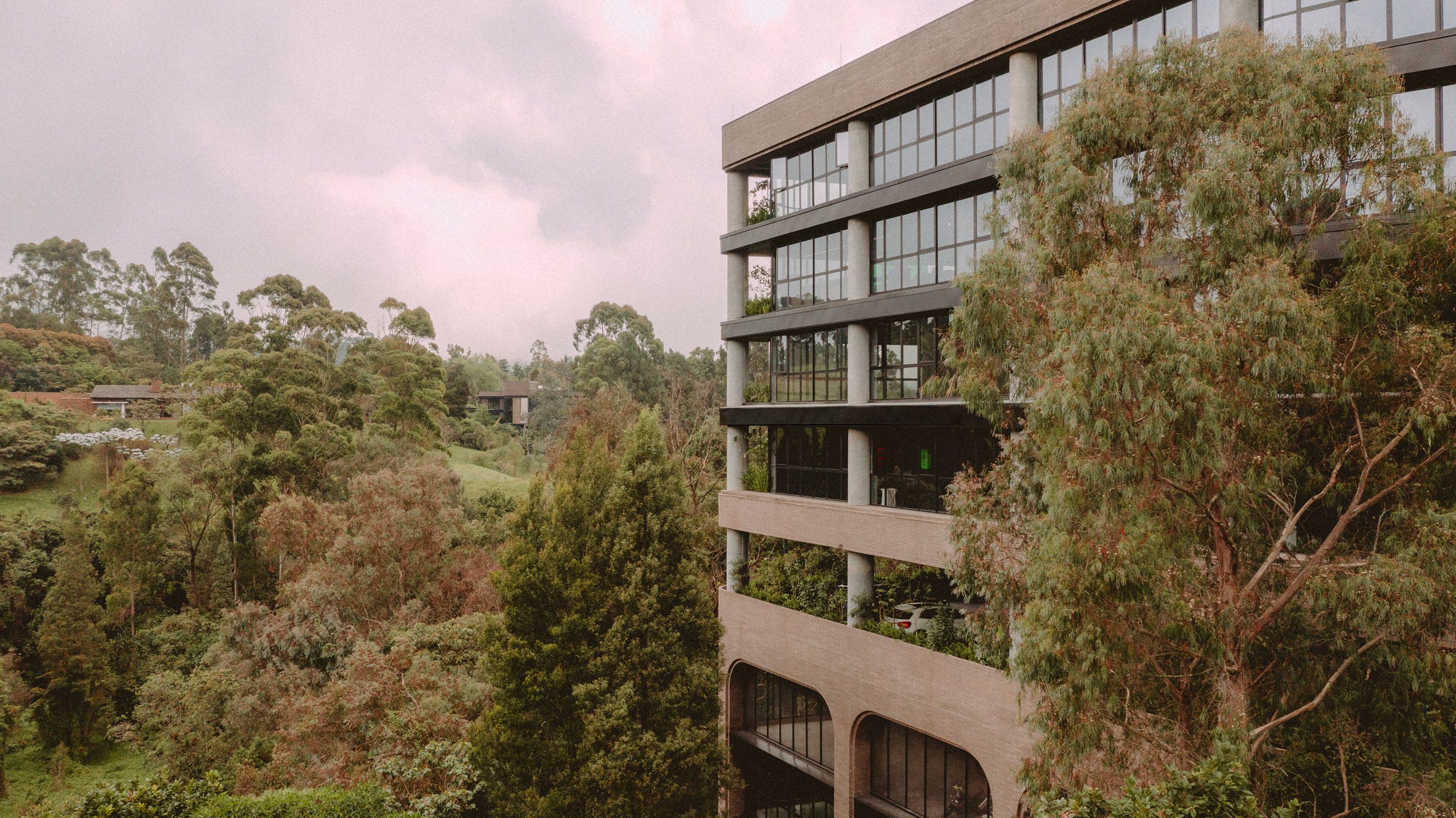 Office building overlooking jungle