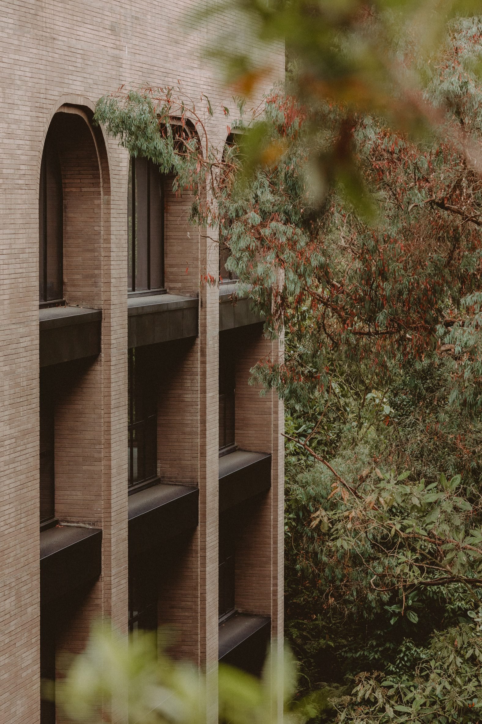 Arched windows made of brick