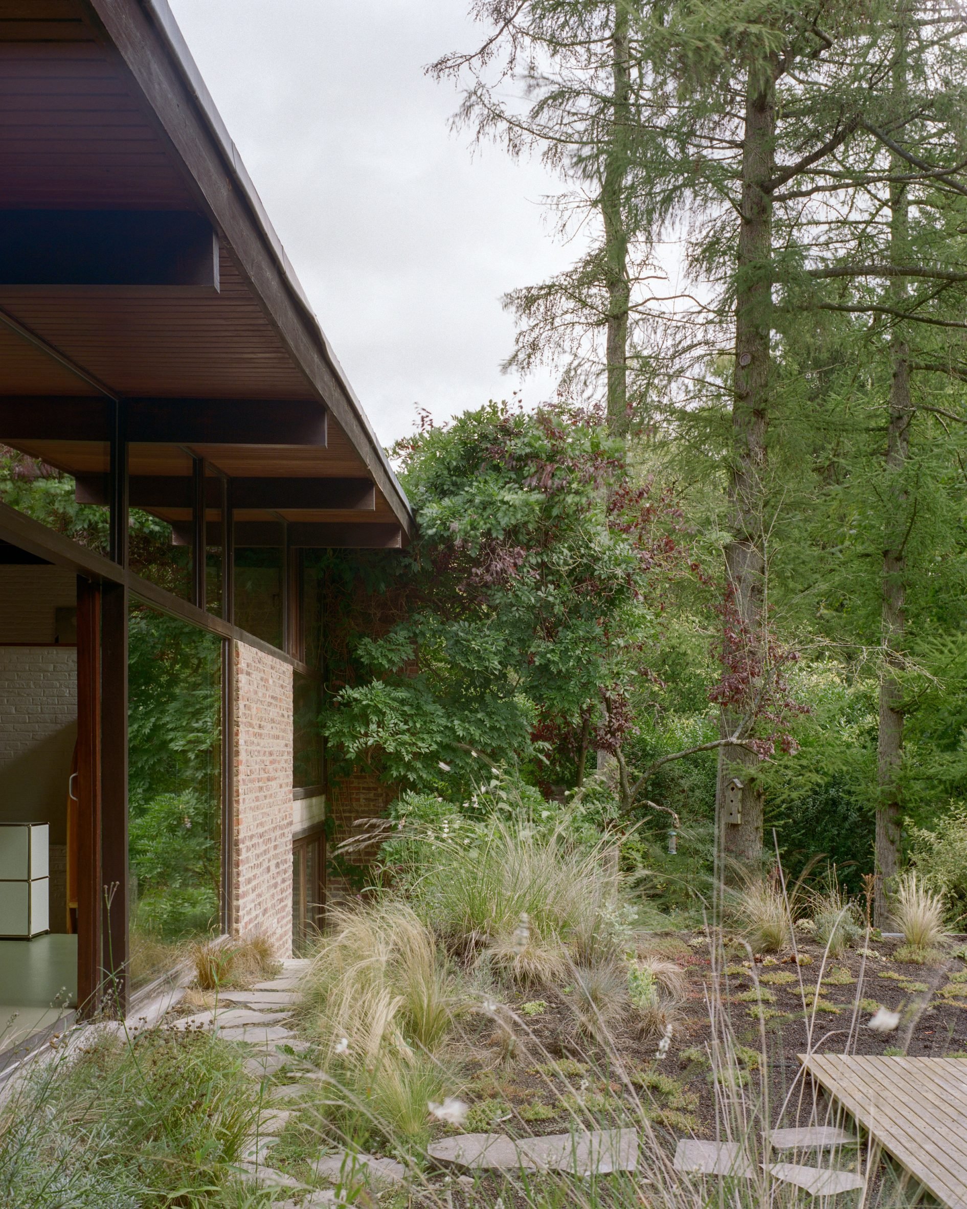 Wild-growing garden outside a Belgian home by Mamout