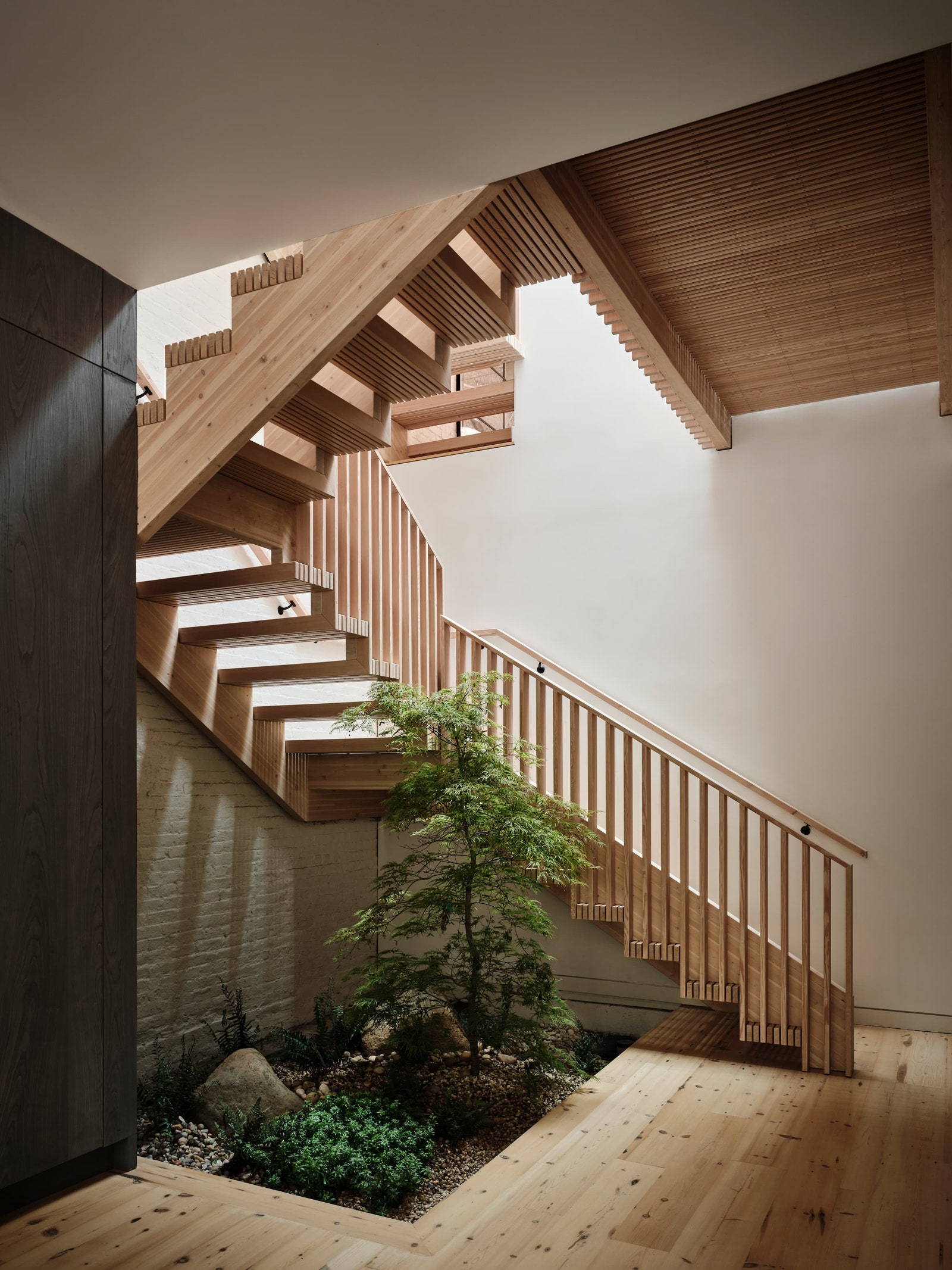 In Brooklyn Aaron Schiller devised a tree planting at the base of a stairwell keeping in mind the sunlight and watering...