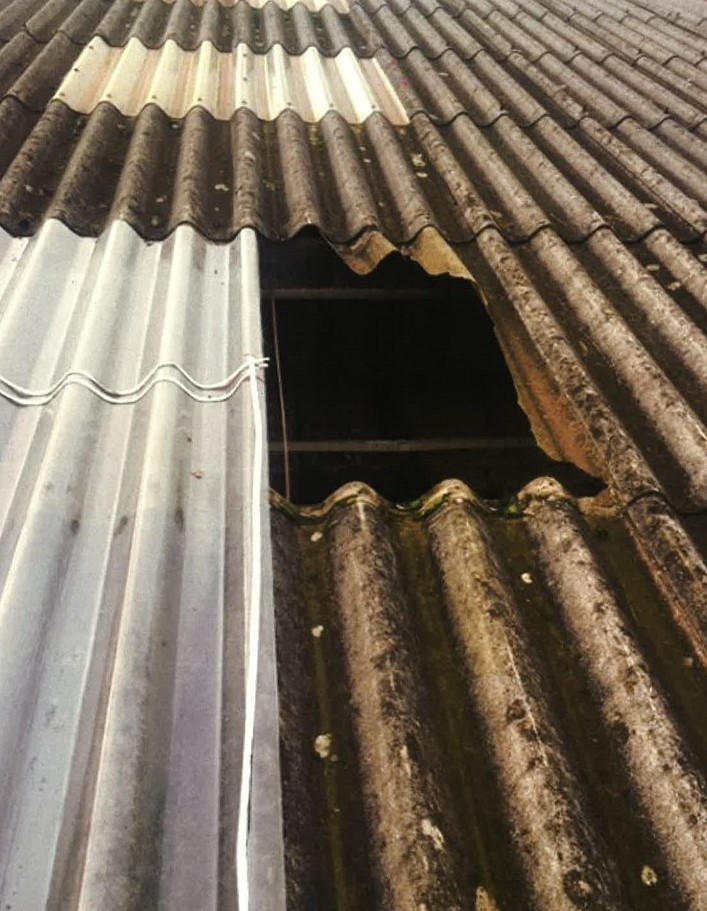 Workers fall from height