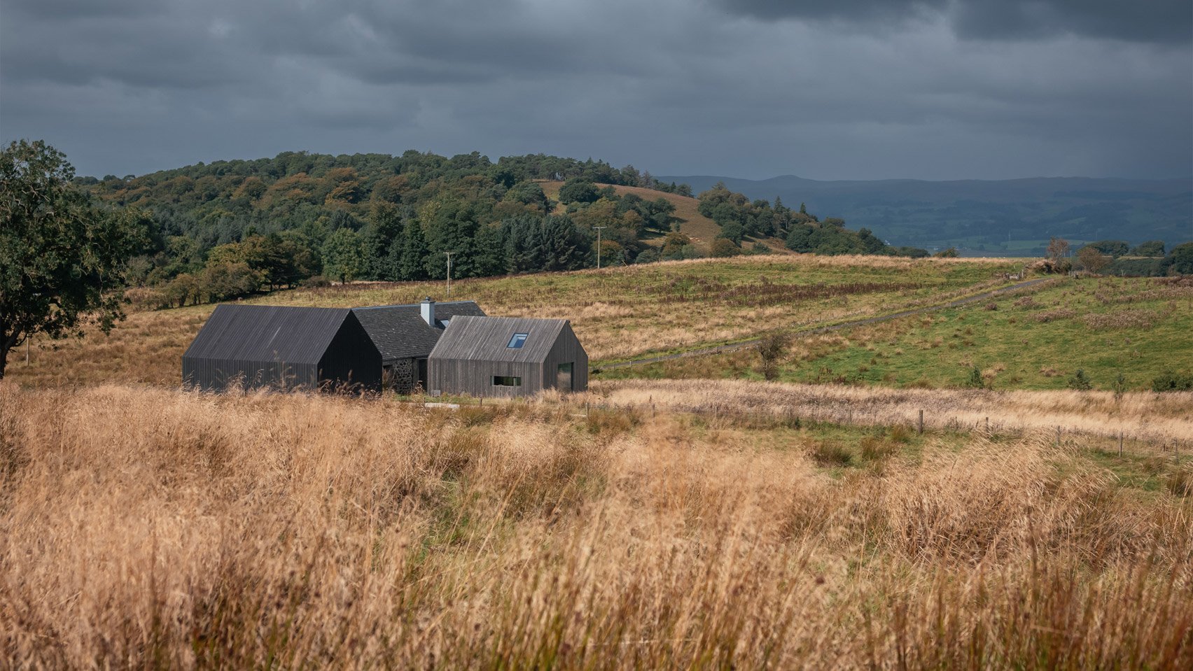 Cuddymoss by Ann Nisbet Studio