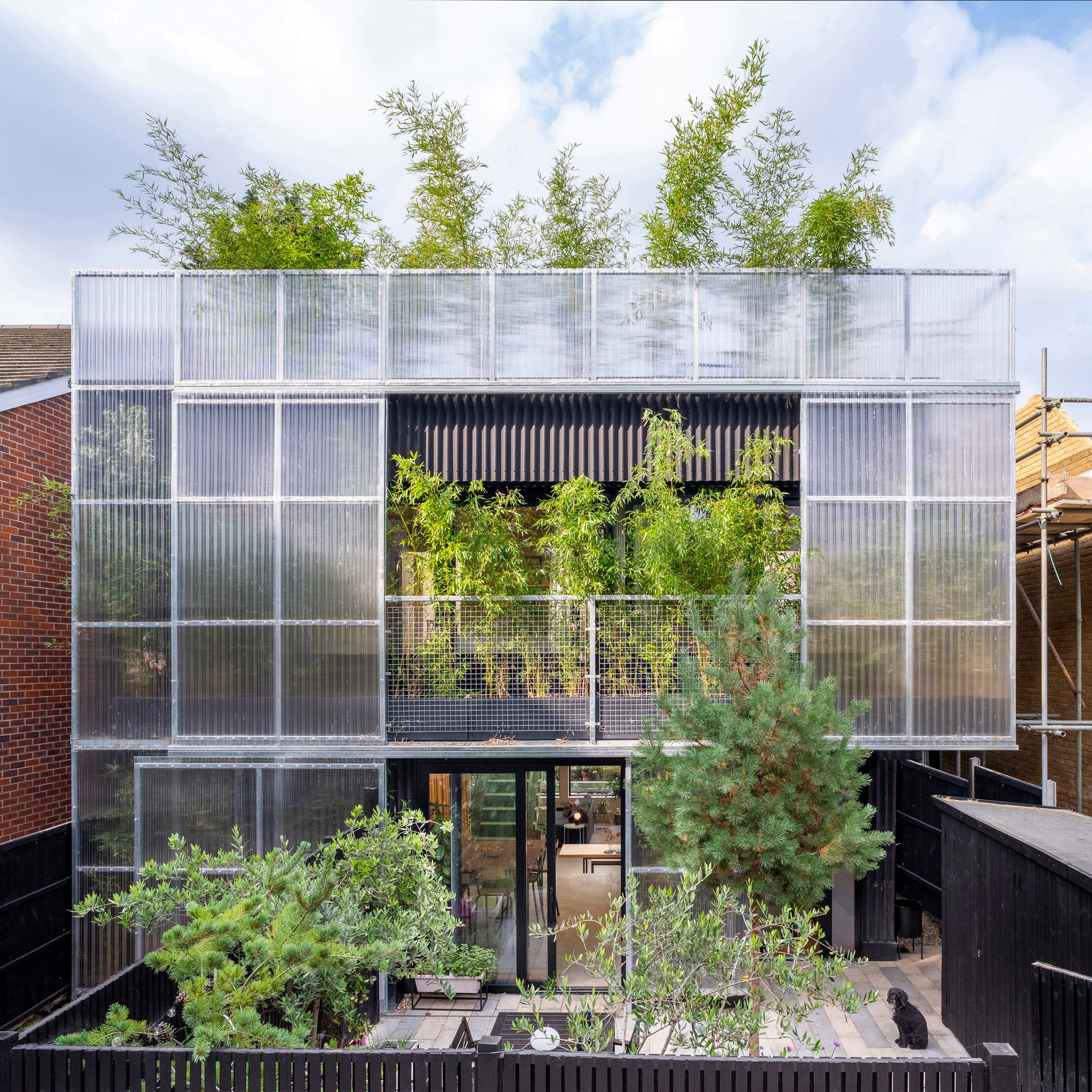 Polycarbonate and bamboo planted facade at Green House by Hayhurst and Co