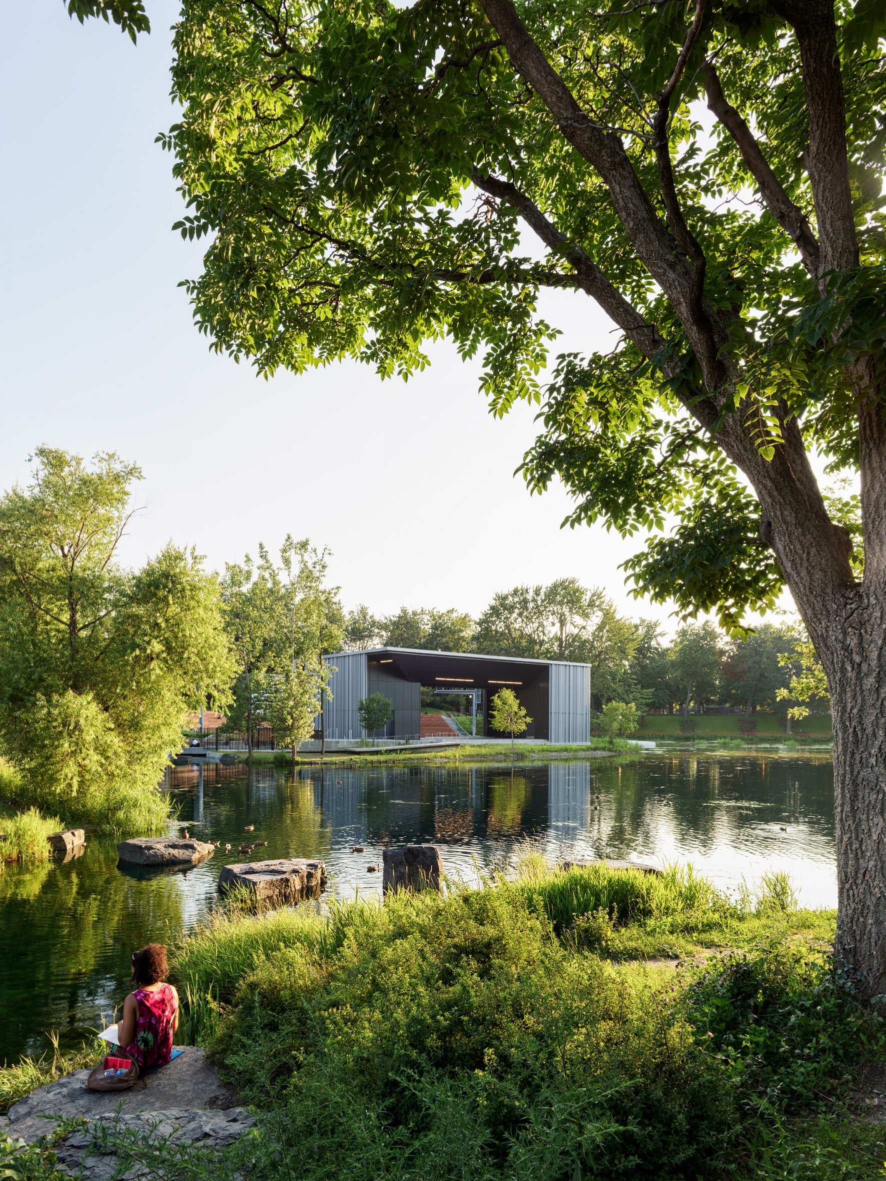 Trees framing open-air theatre