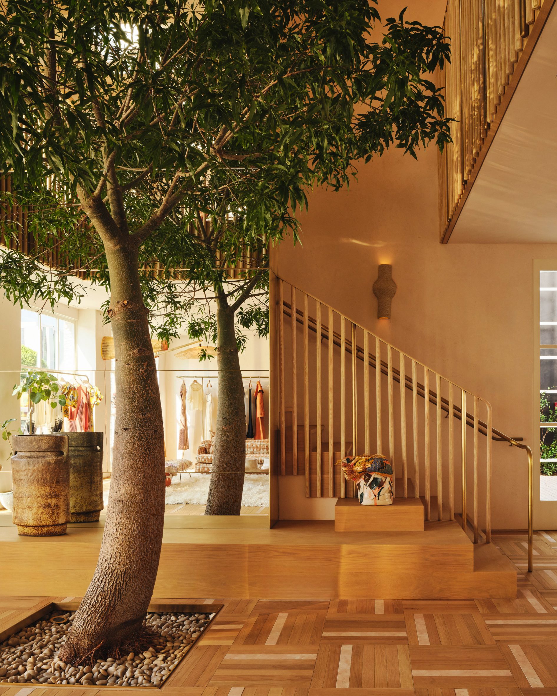Double-height Brachychiton tree at the Ulla Johnson store