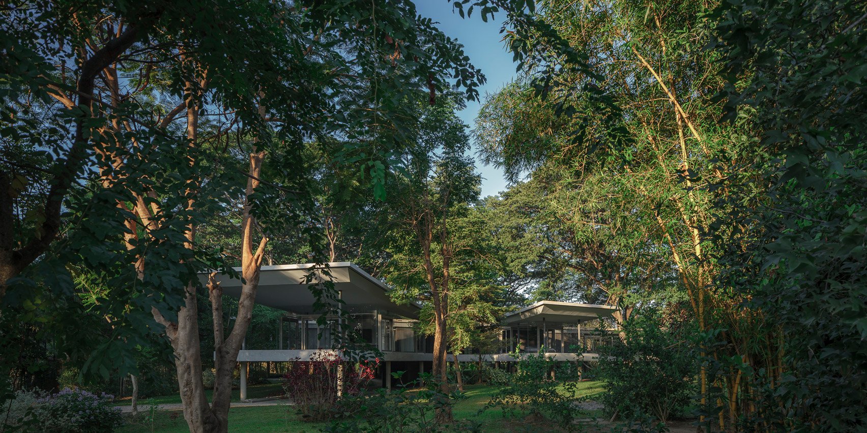 View of Under the Rain Trees by All(zone)