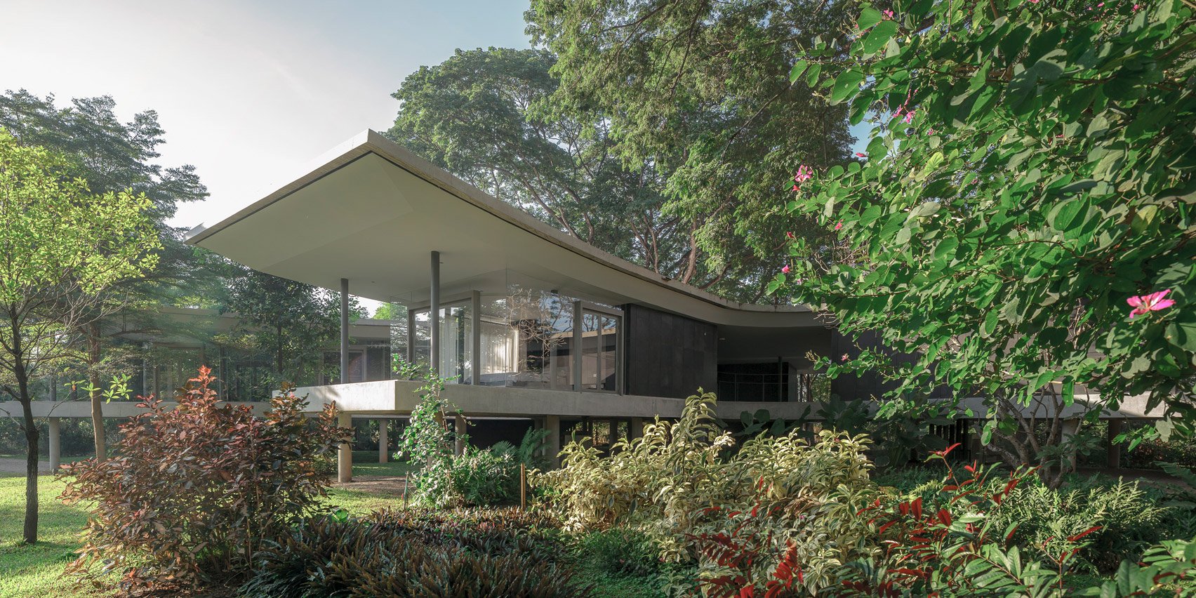 Curved roof of Under the Rain Trees by All(zone)