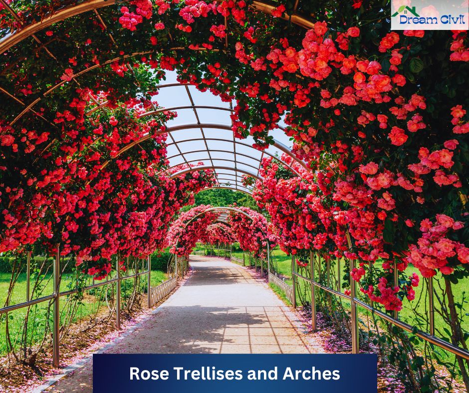 Pink Rose Garden Ideas