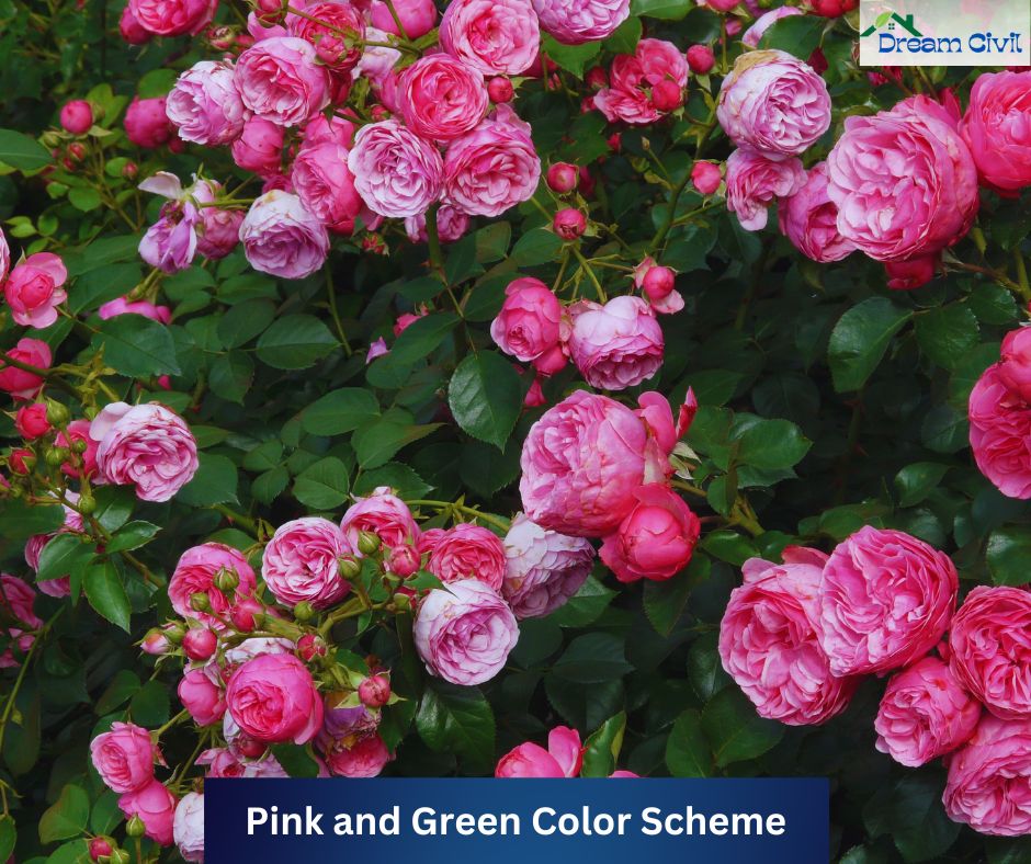 Pink Rose Garden Ideas
